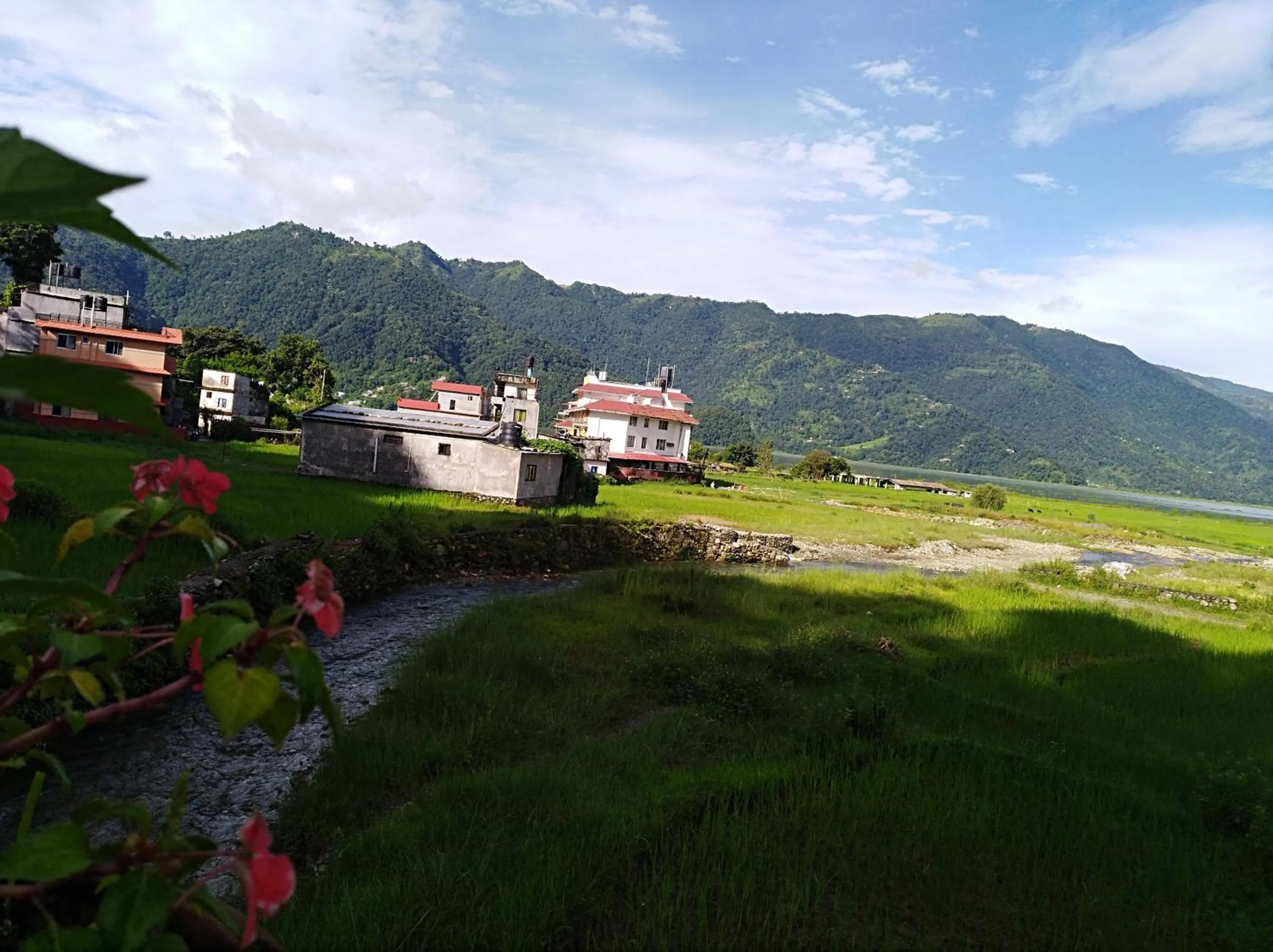 Summer in Bishnu Homestay