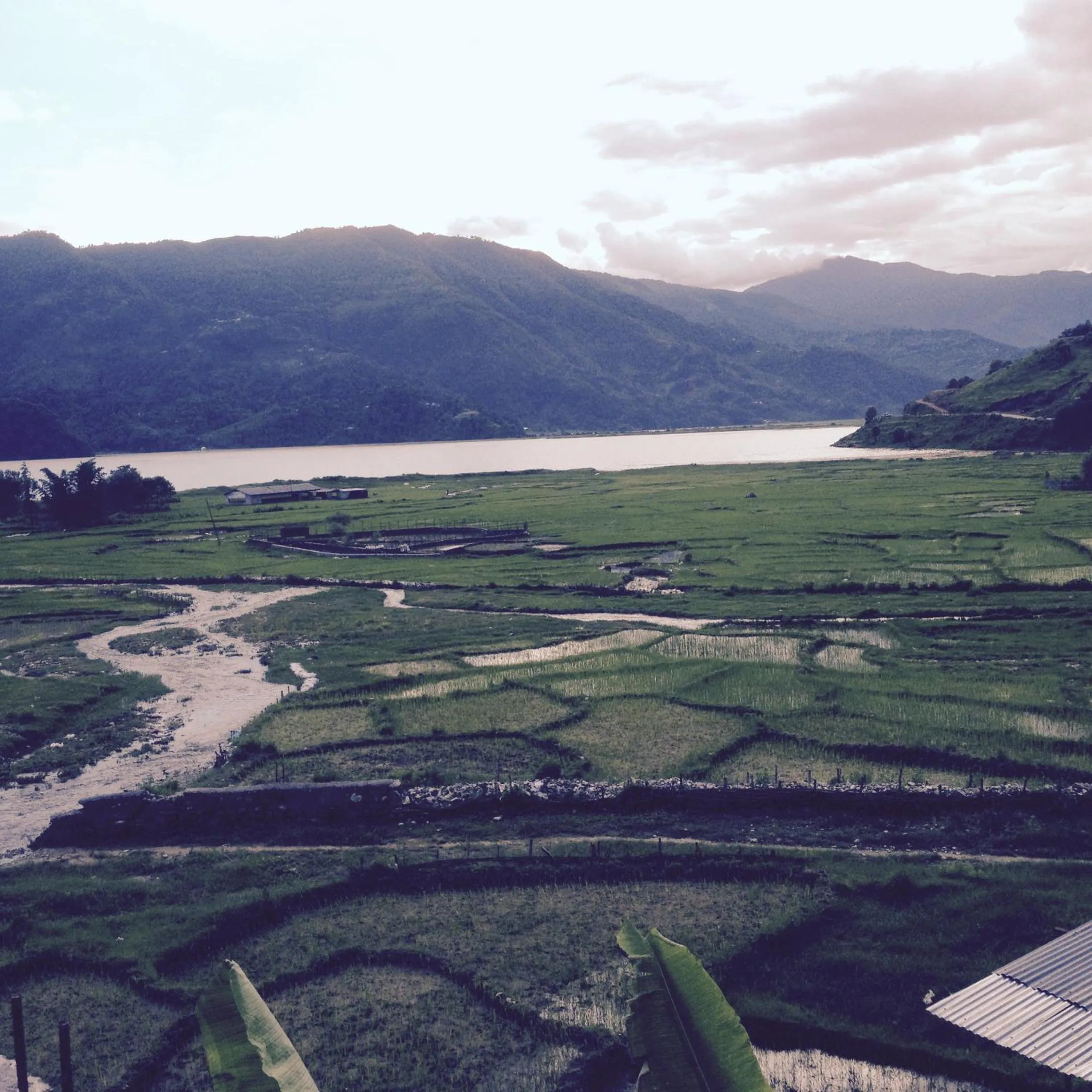 Neighbourhood in Bishnu Homestay