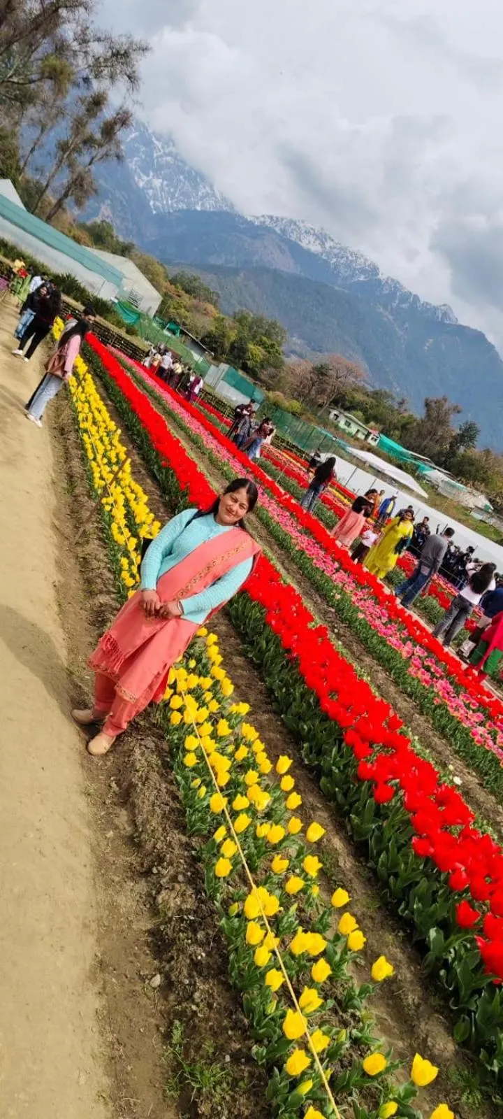 Barot Waterfall Camps