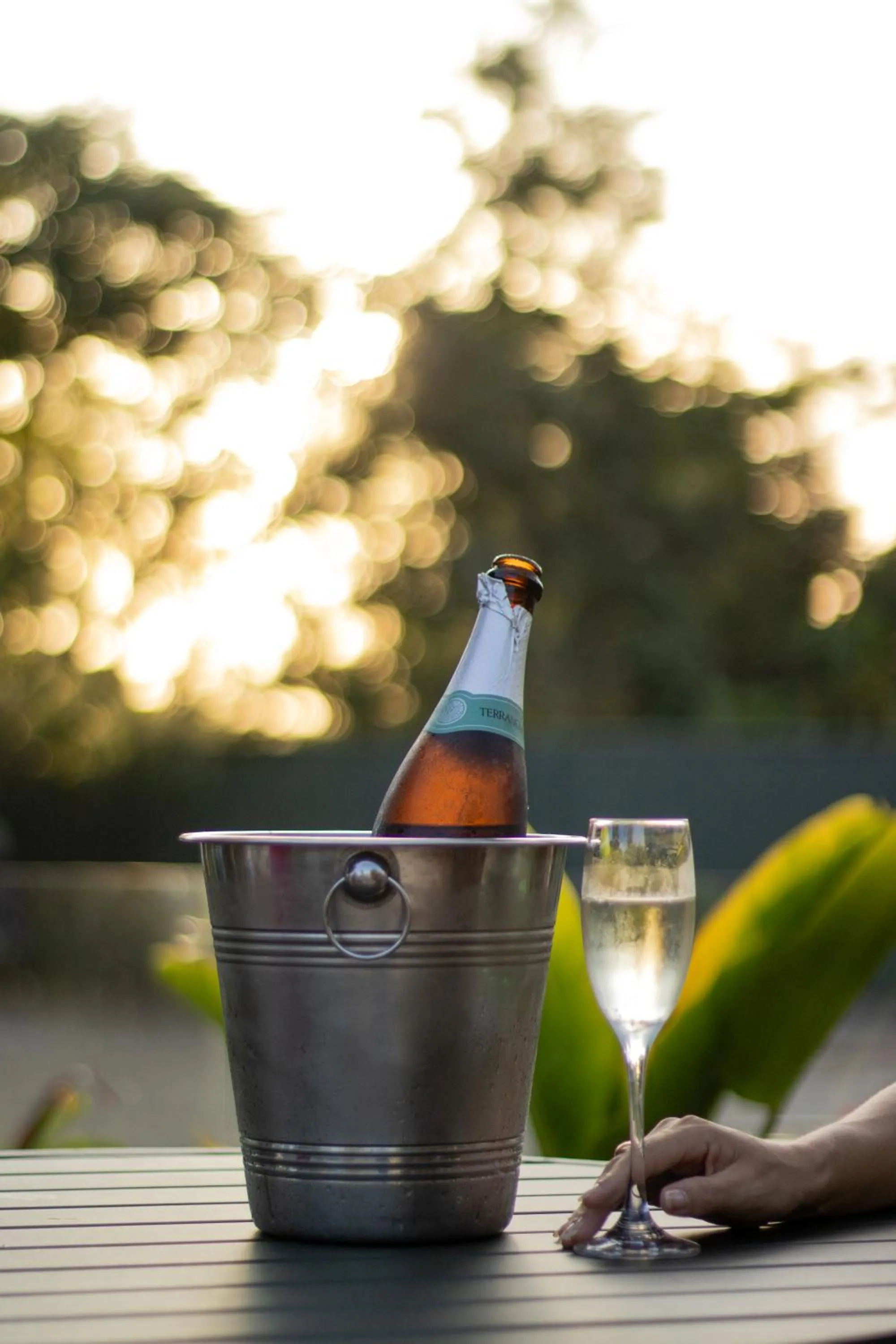 Alcoholic drinks in Cataratas Park Hotel e Eventos