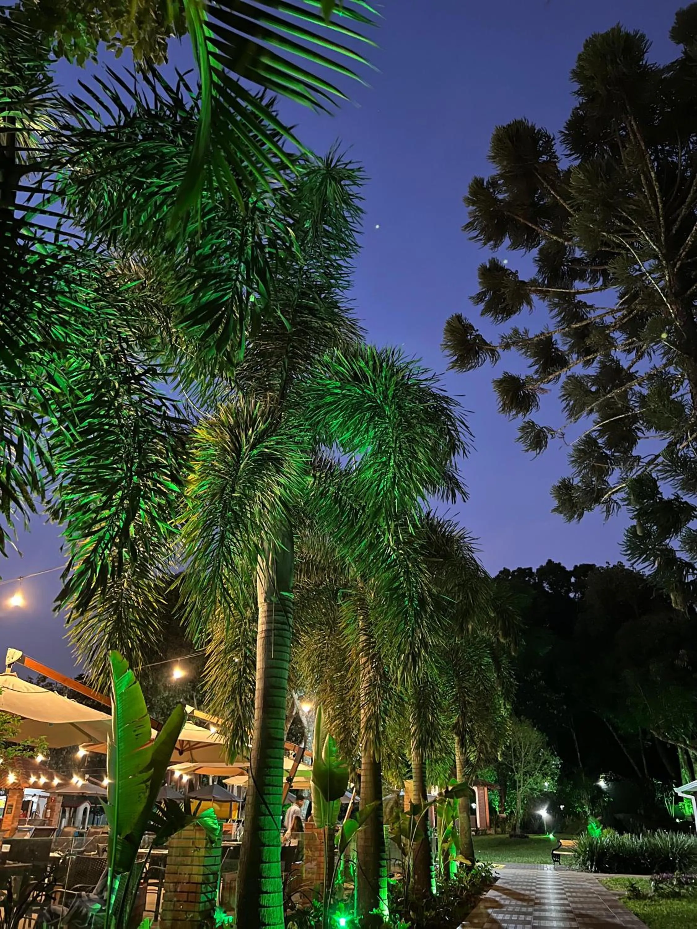 Night in Cataratas Park Hotel e Eventos