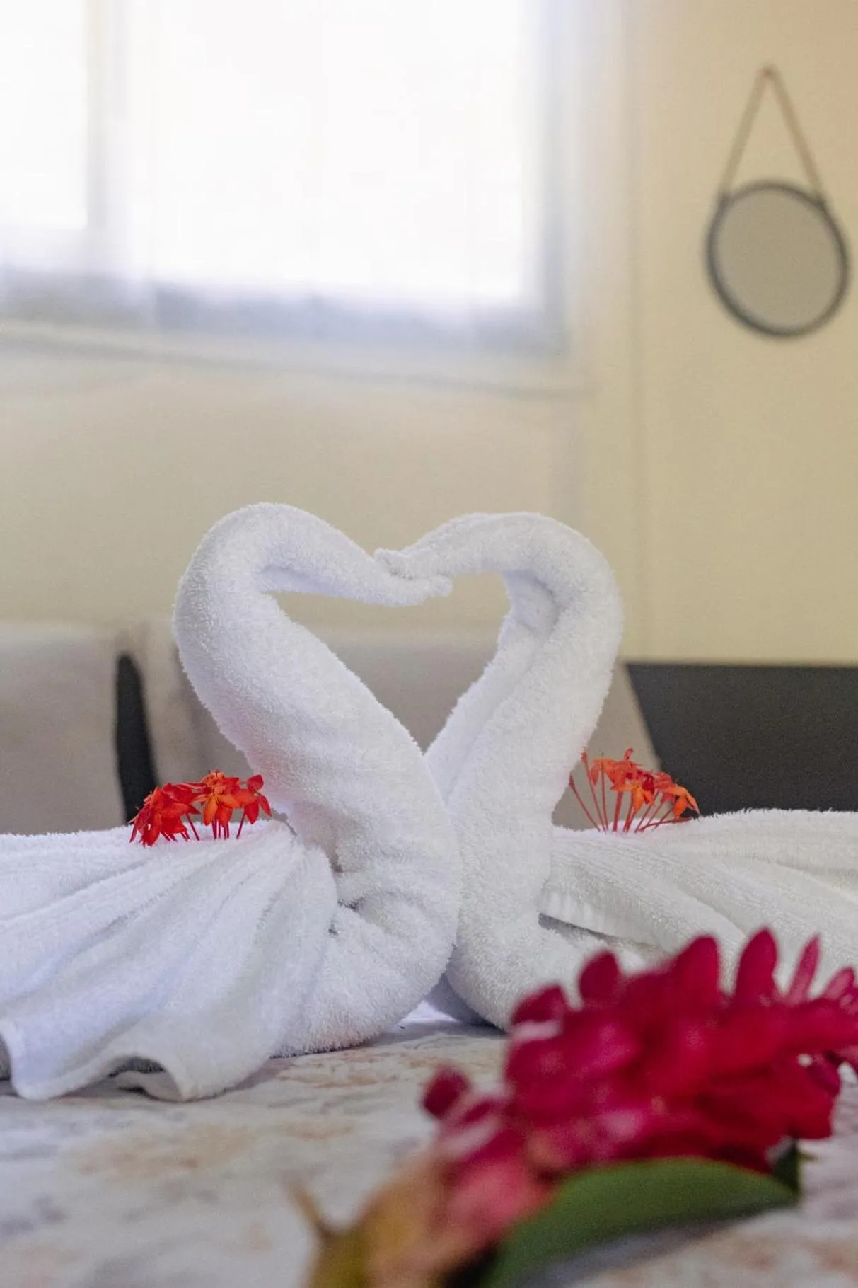 Deluxe Double Room - single occupancy in Playa Grande Lodge & Tree House