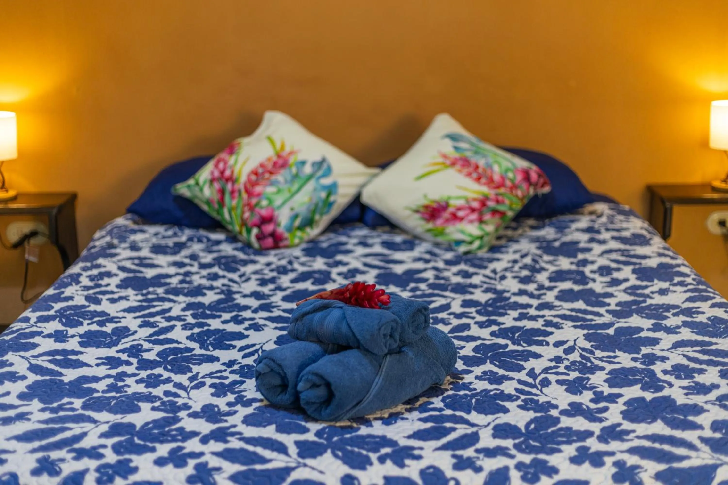 Double Room with Terrace - single occupancy in Playa Grande Lodge & Tree House