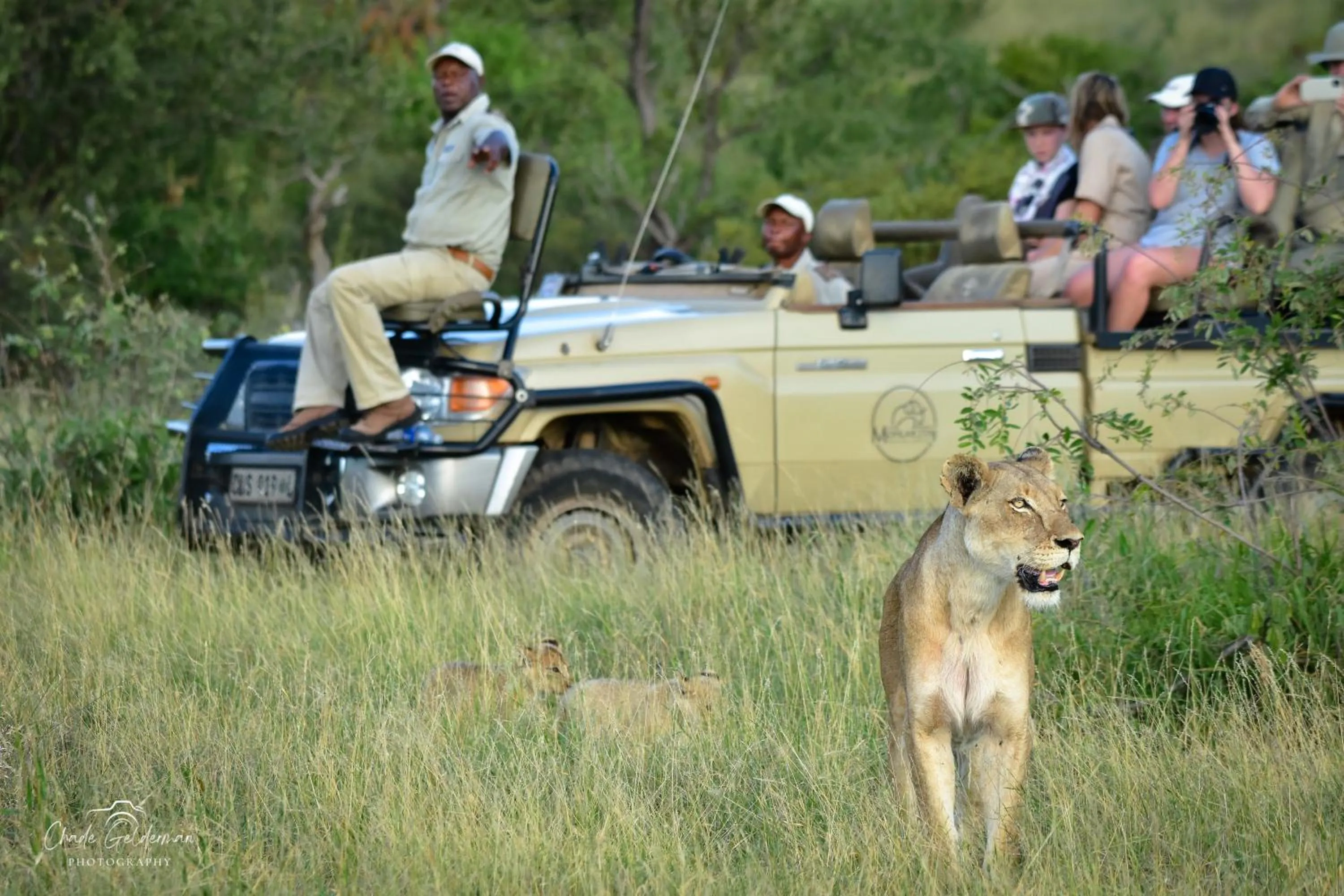 Natural landscape in Mohlabetsi Safari Lodge