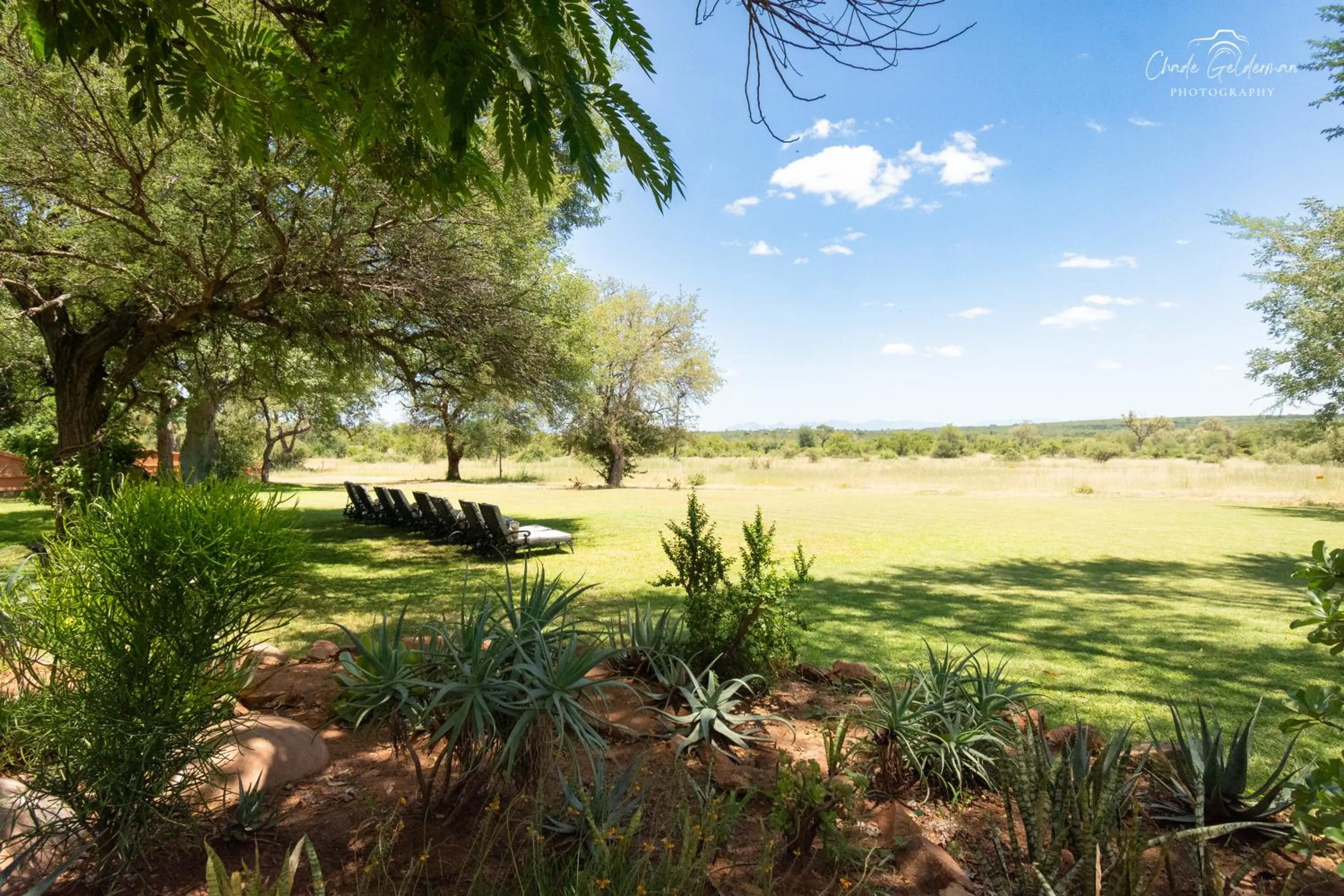 Natural landscape in Mohlabetsi Safari Lodge
