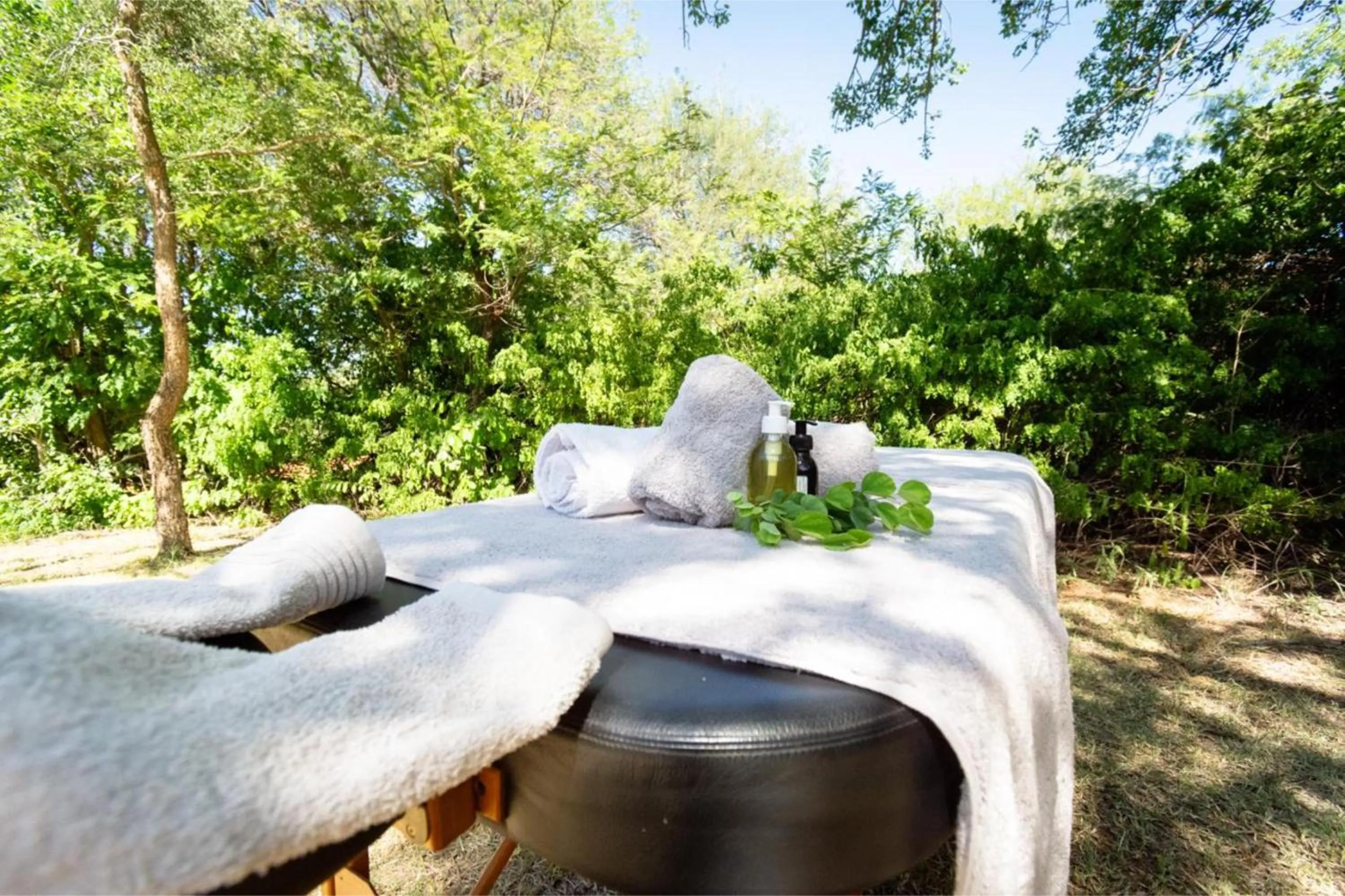 Day in Mohlabetsi Safari Lodge