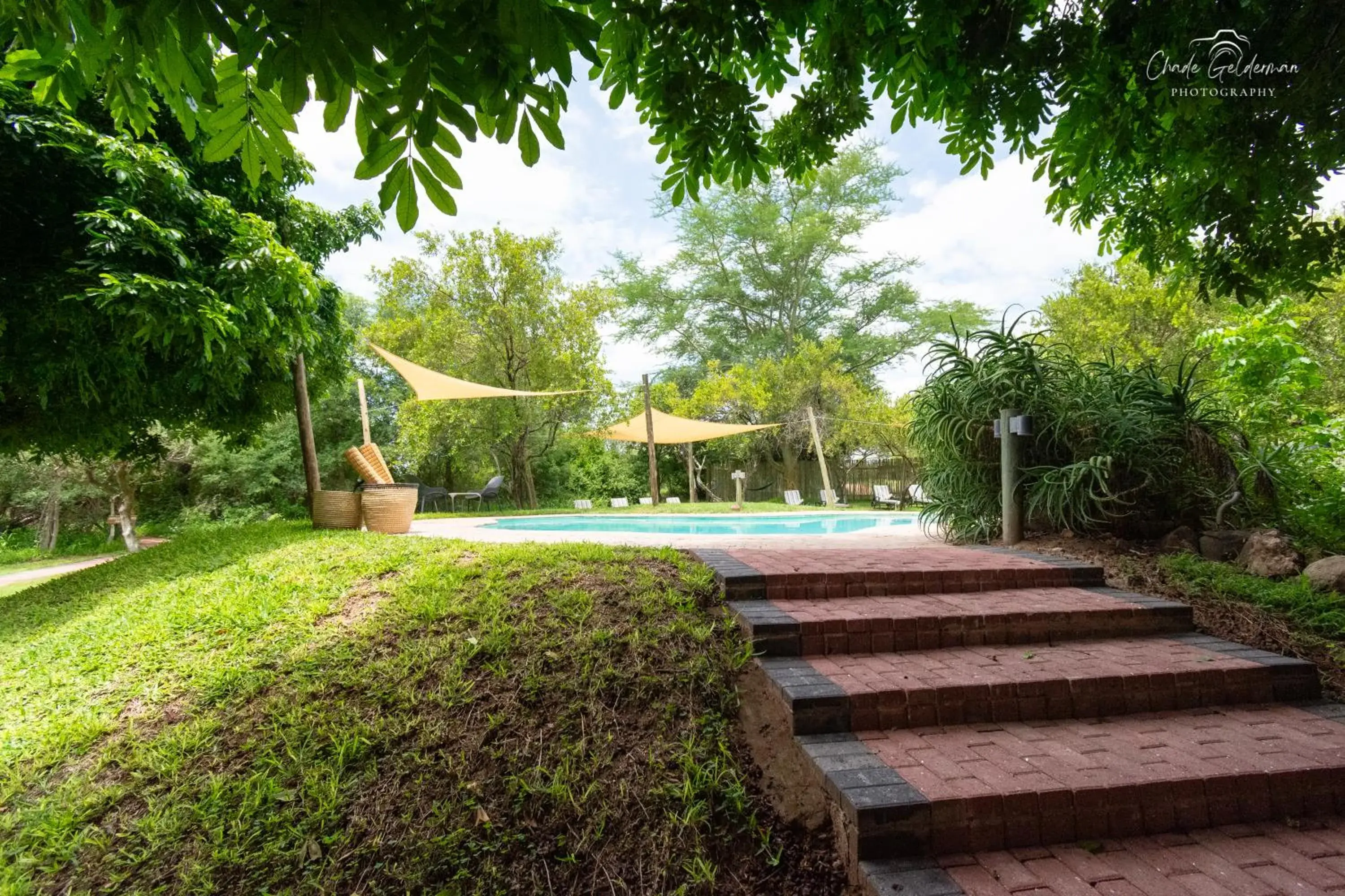 Garden view in Mohlabetsi Safari Lodge Garden view in Mohlabetsi Safari Lodge