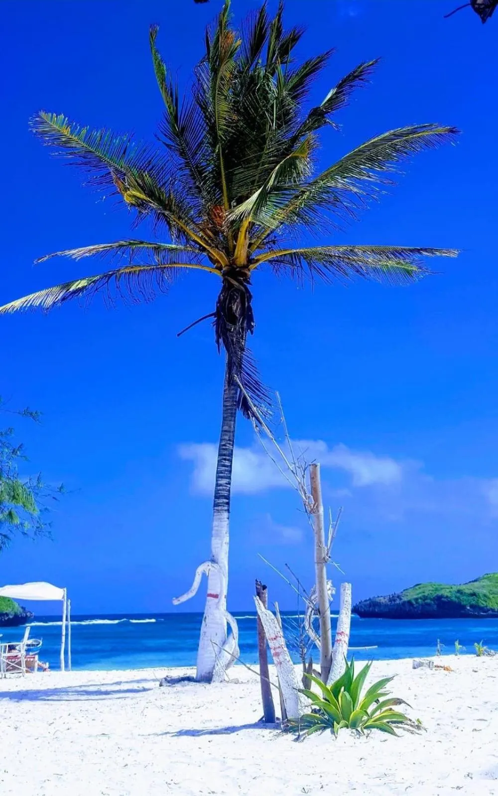 Beach in Simba House