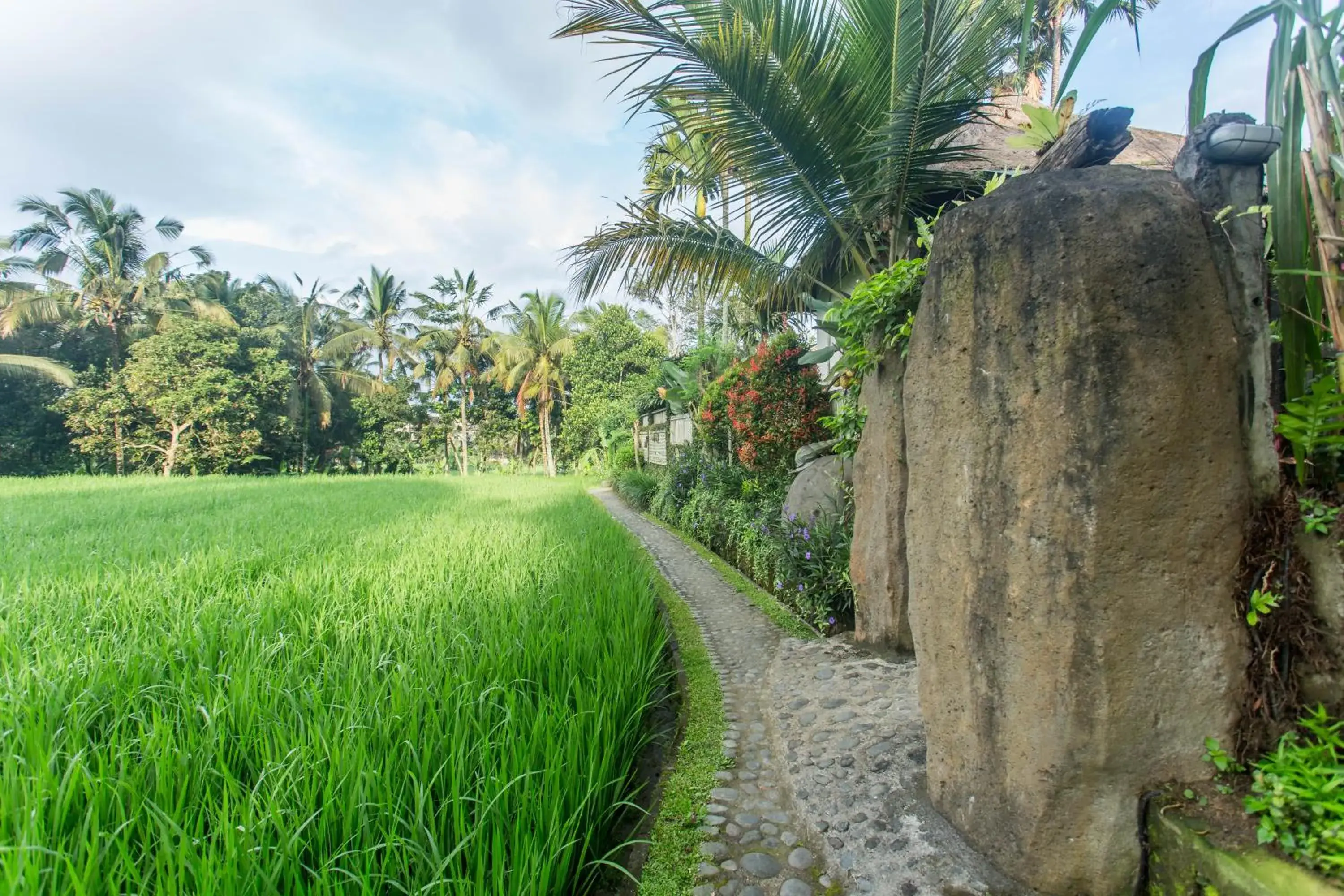 Garden view in Ubud Luwih Nature Retreat Garden view in Ubud Luwih Nature Retreat