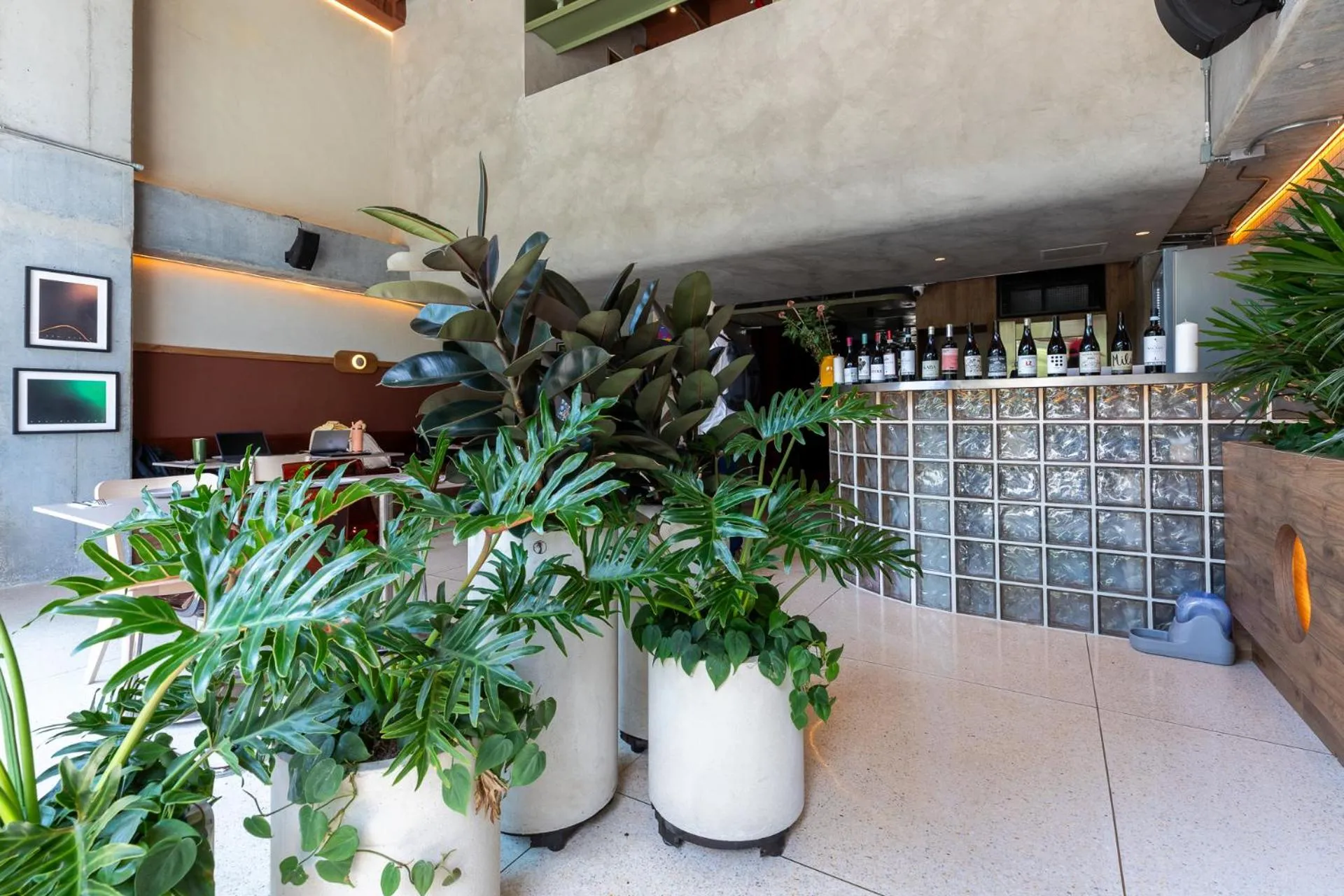 Restaurant/places to eat in BoH Collection