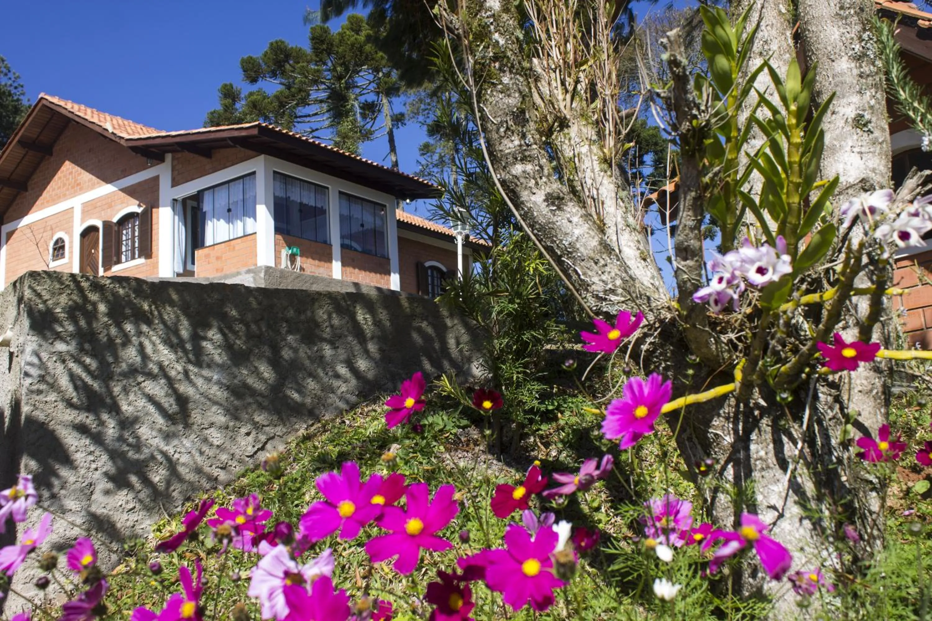 Property building in Emy Pousada