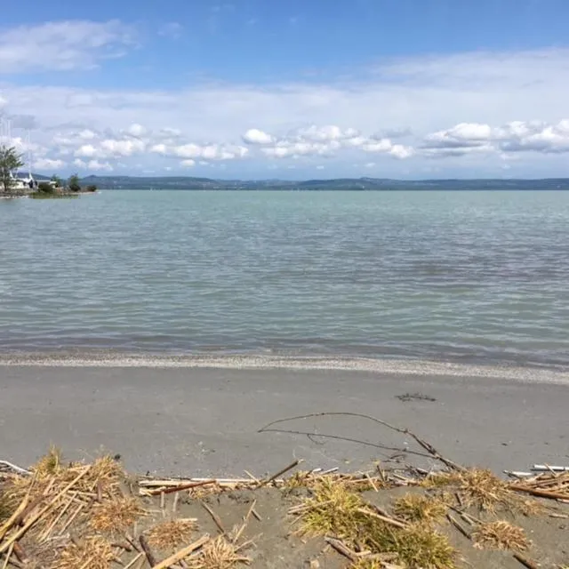 Beach in Butique Apartman