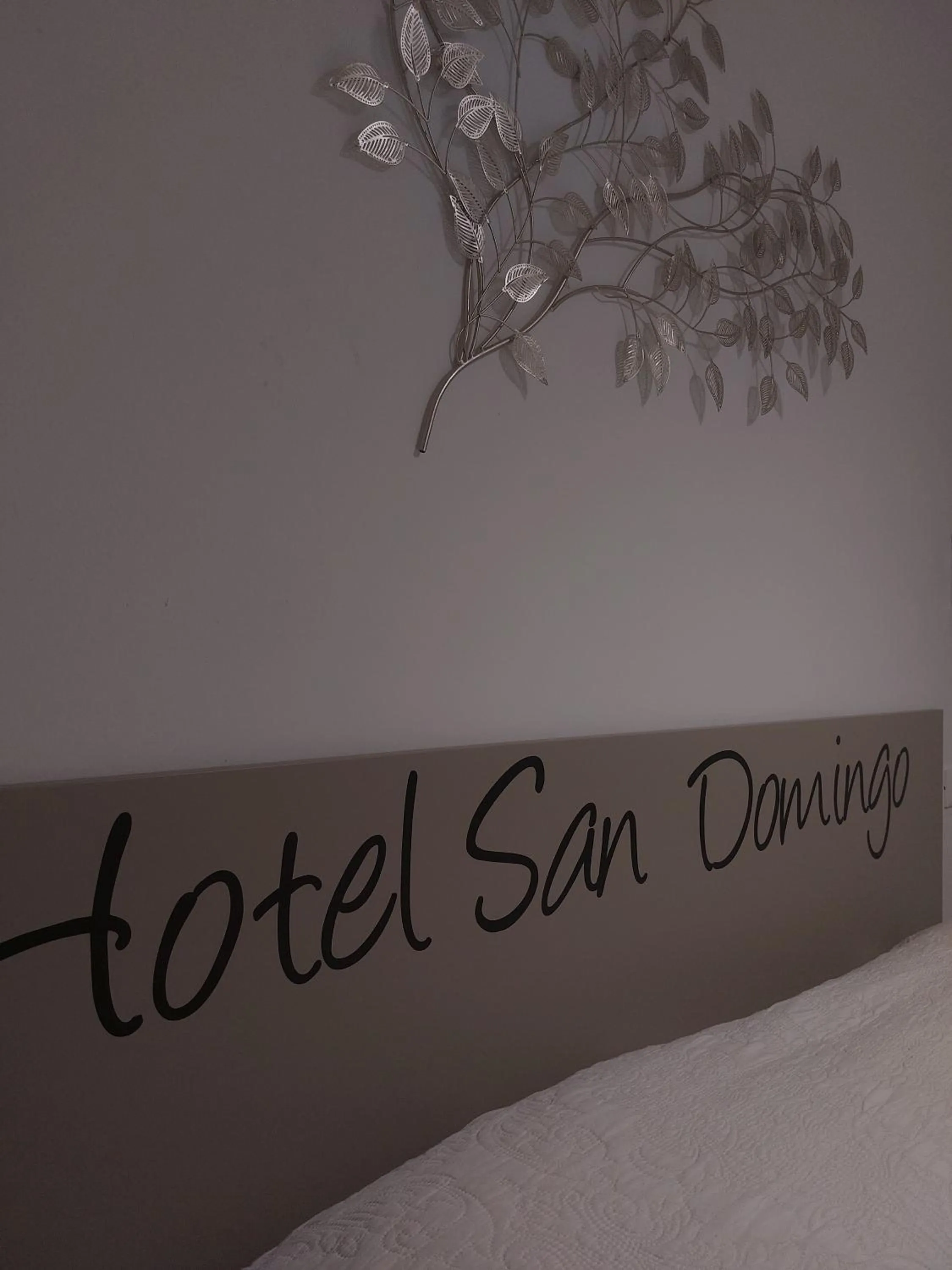 Hotel San Domingo