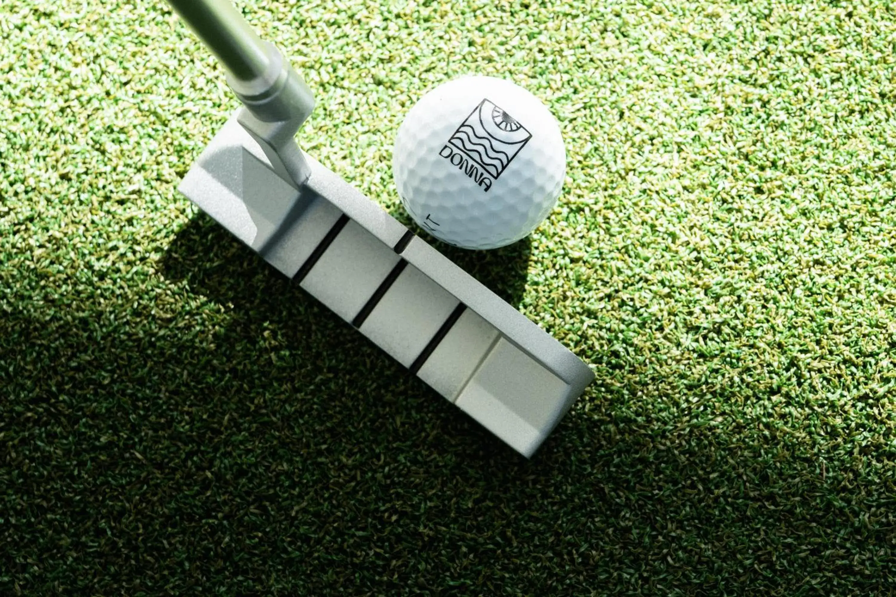 The Donna Portals The Donna Portals