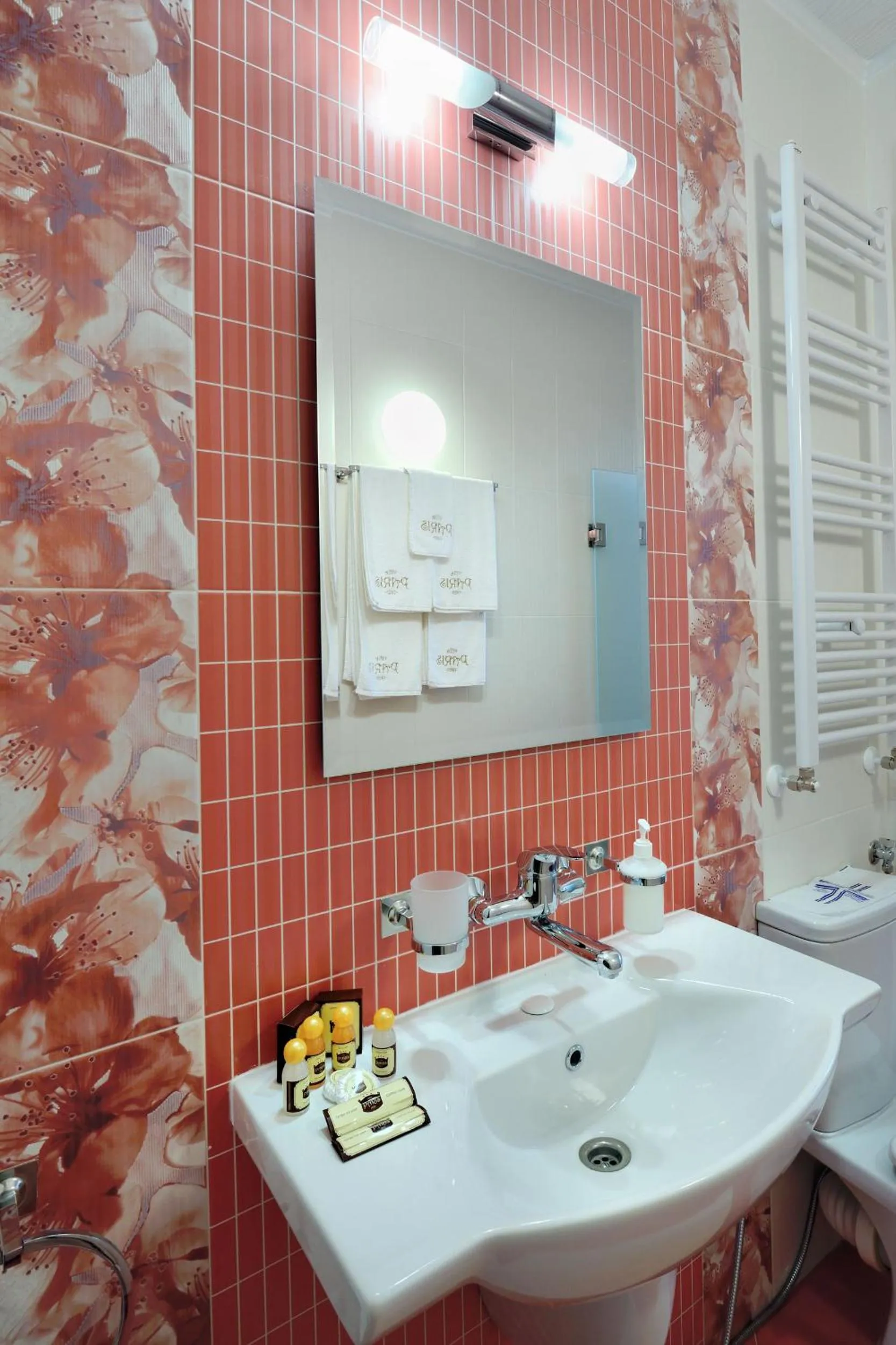 Bathroom in Villa Paris