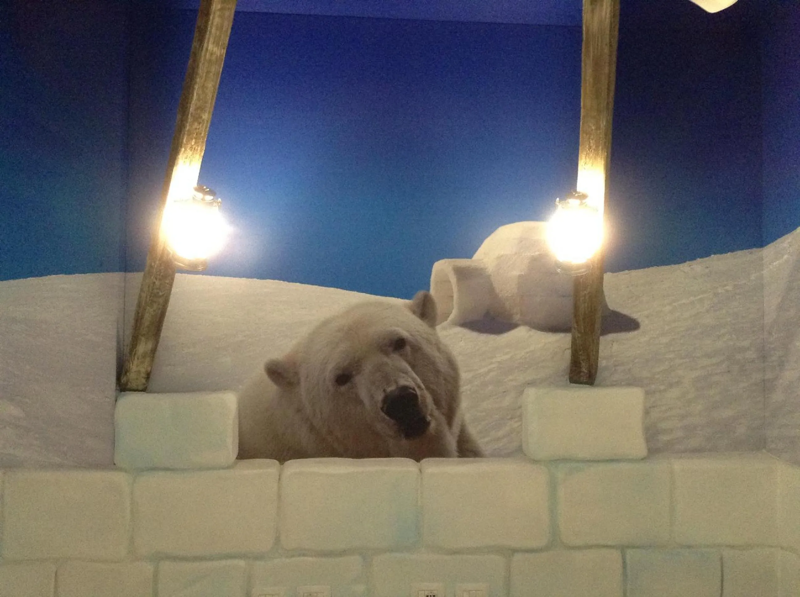 Decorative detail in Gardaland Adventure Hotel