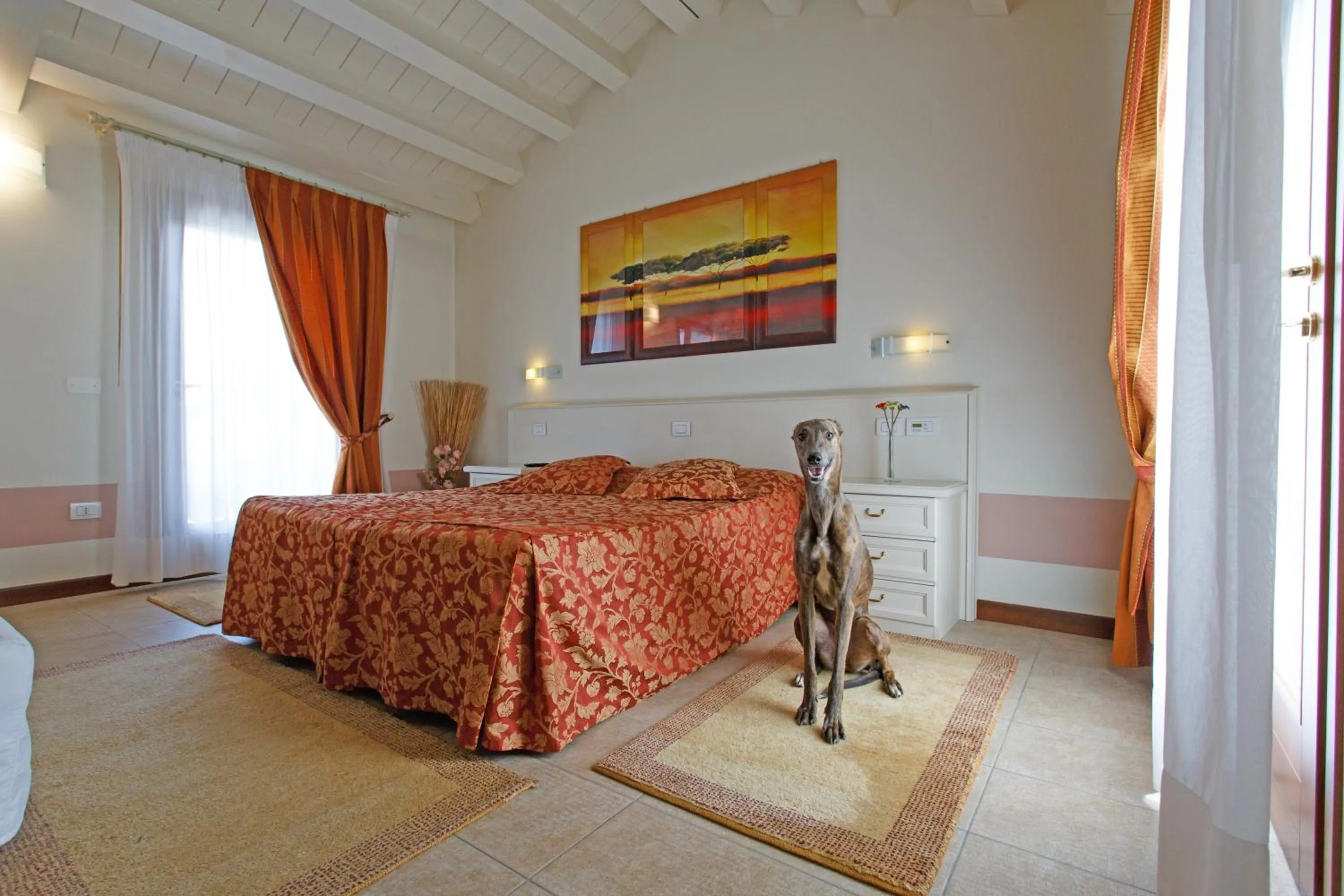 Pets, Bed in Sweet Home