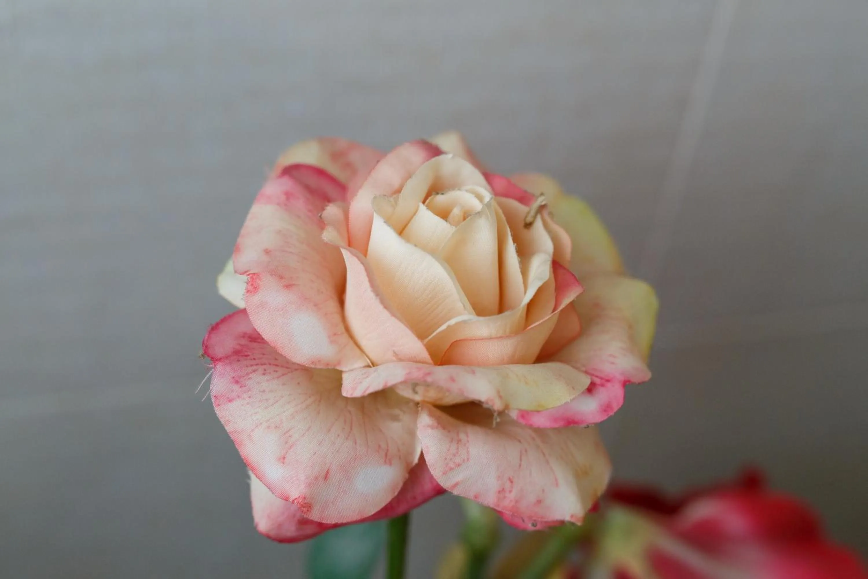 Decorative detail in Sweet Home