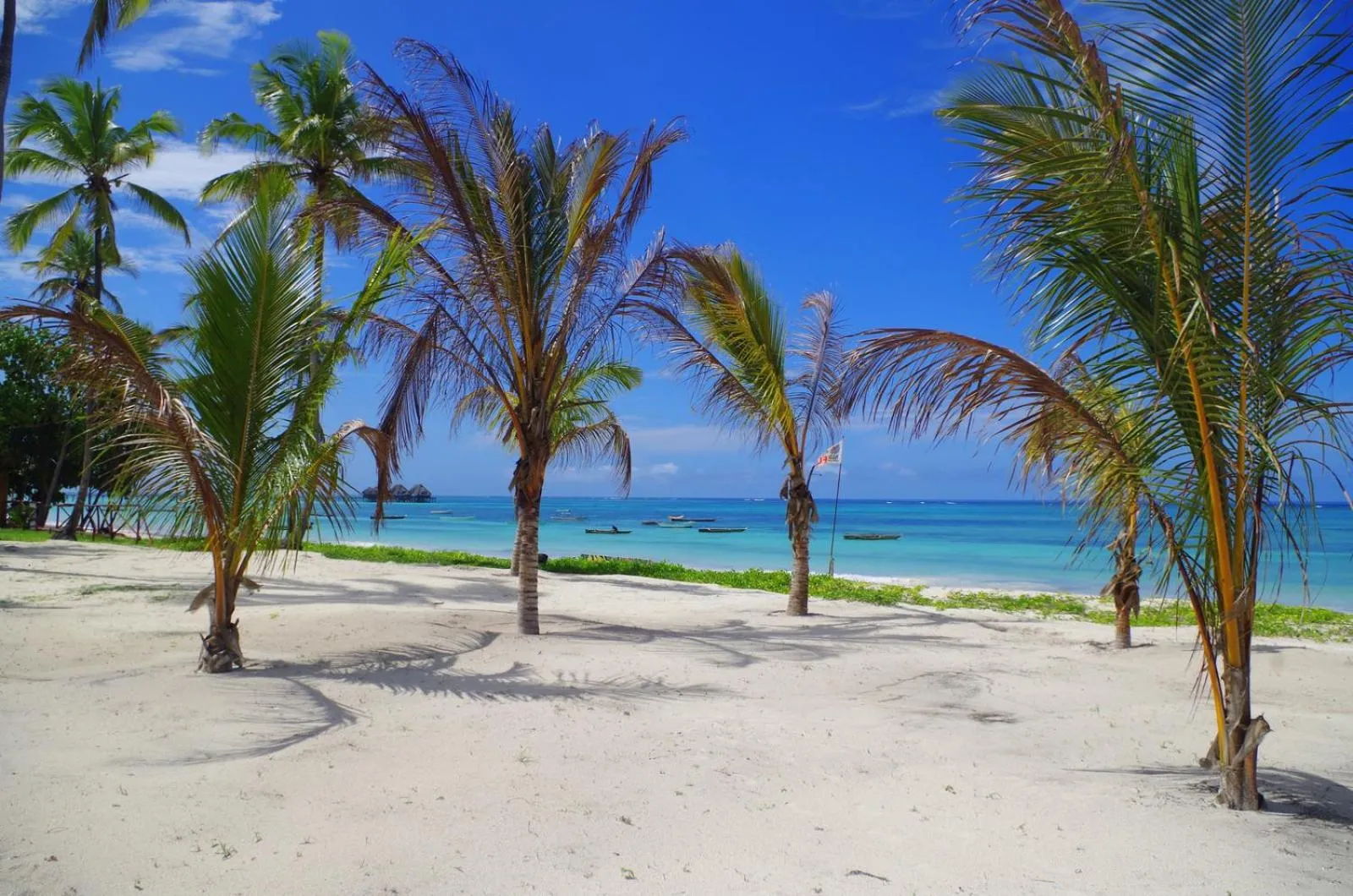 Beach in The Sands Beach Resort