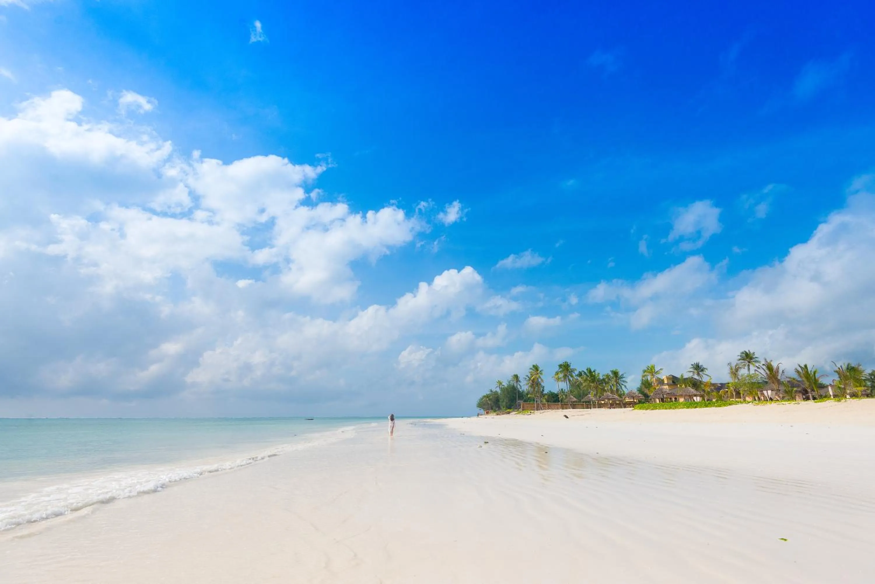 Beach in The Sands Beach Resort