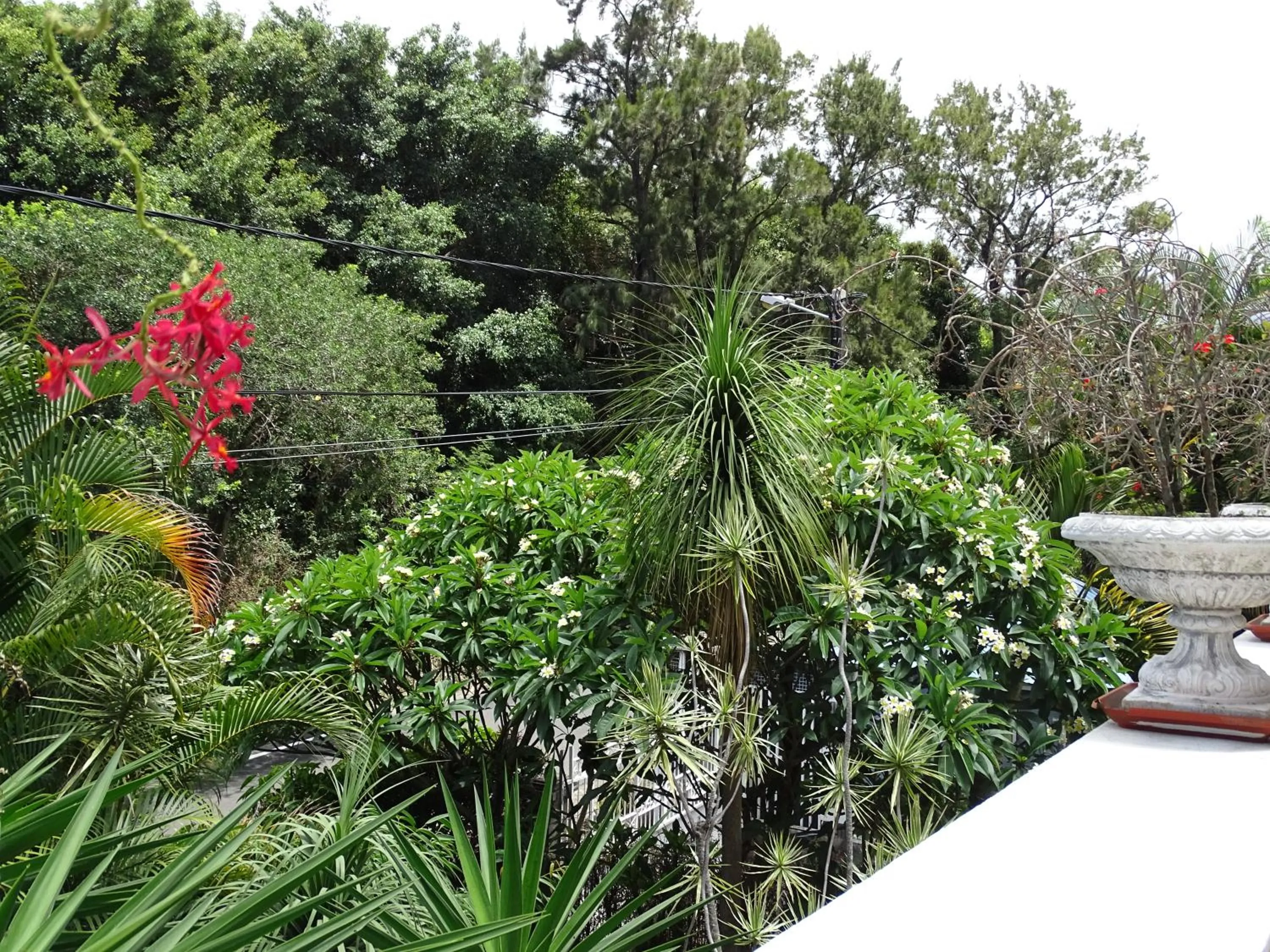 Garden in Résidence Le Phoenix