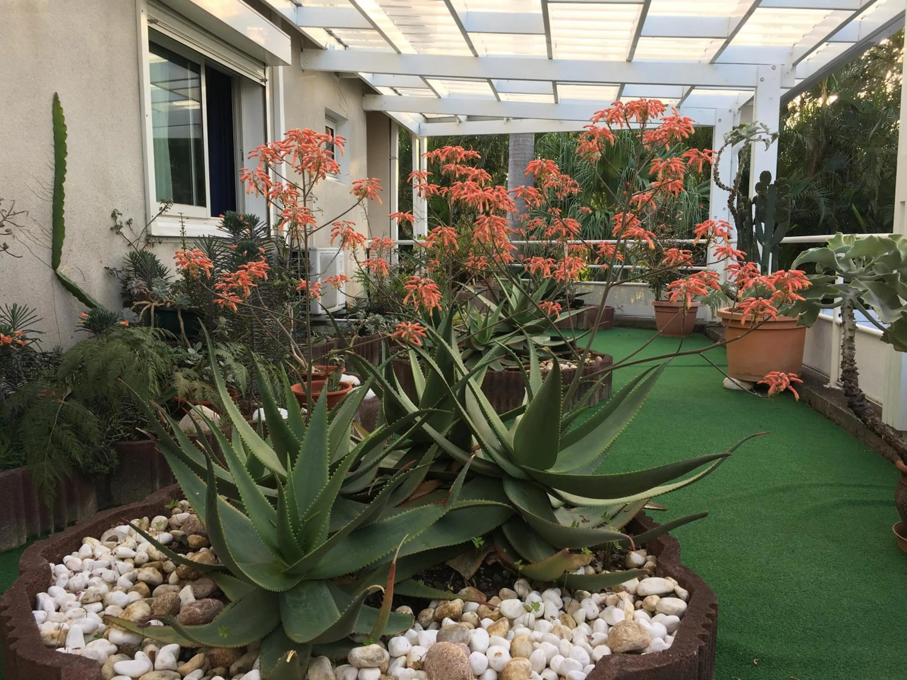 Patio in Résidence Le Phoenix