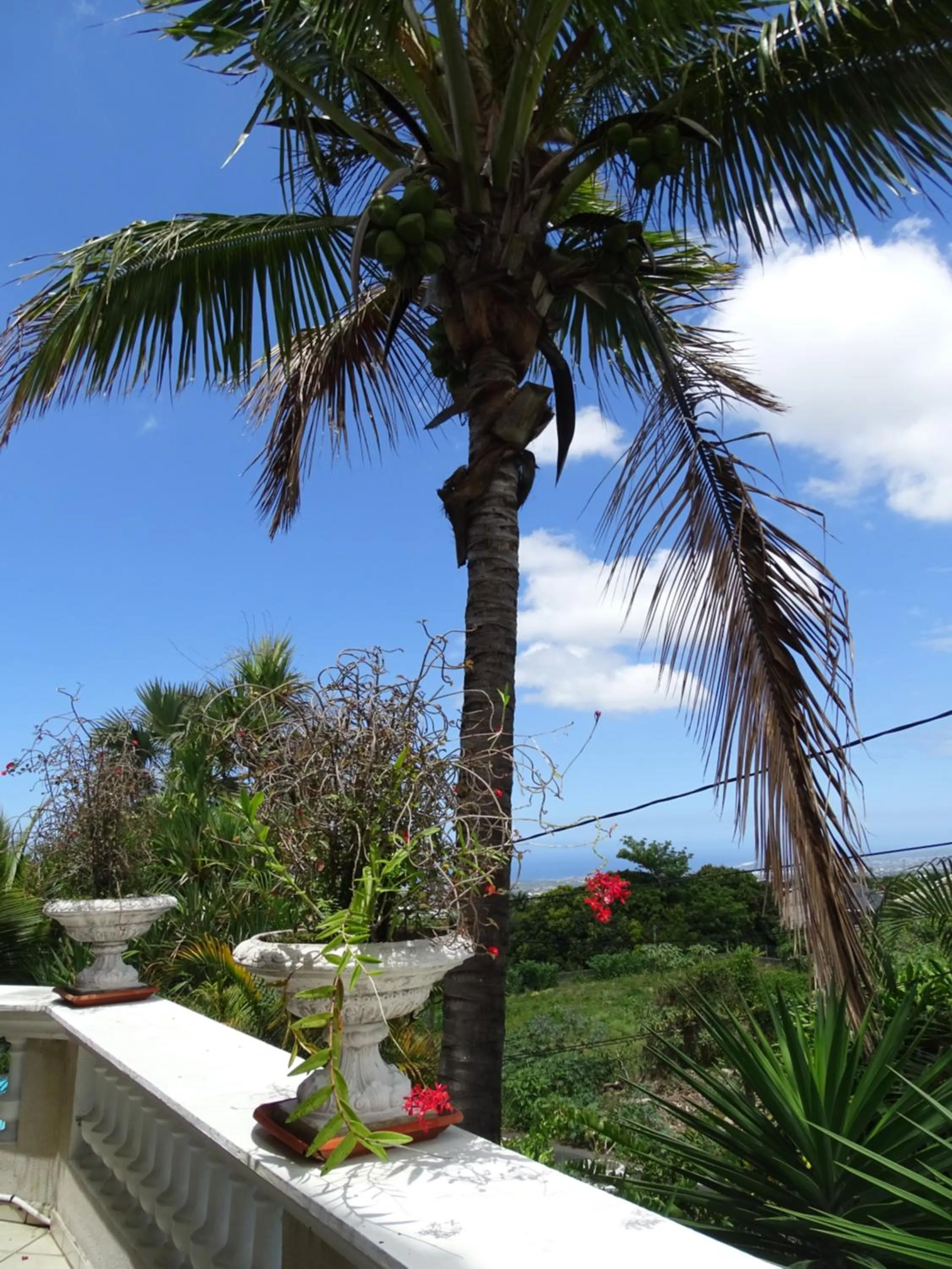 Résidence Le Phoenix