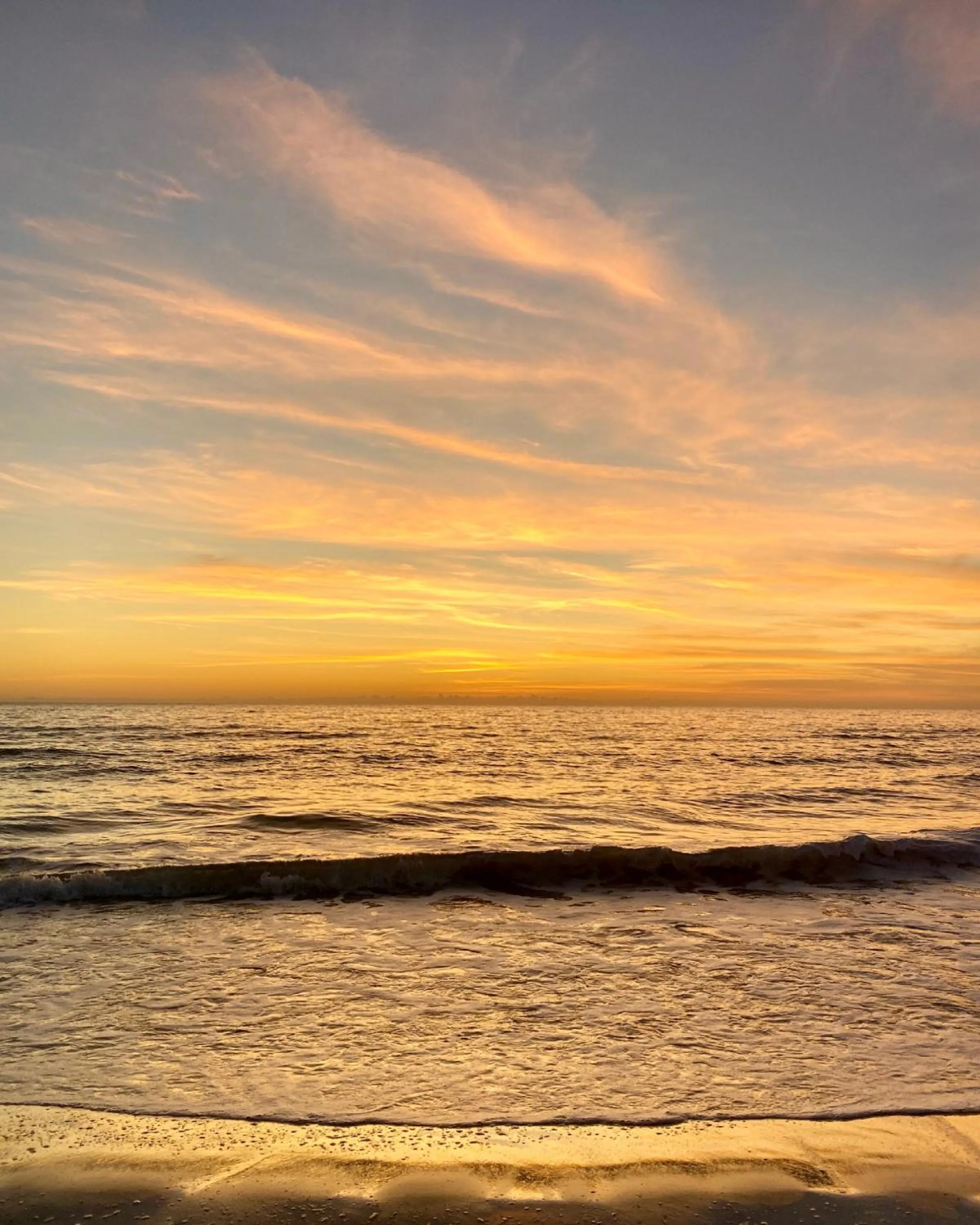 View (from property/room) in The Molloy - A Boutique Beach Resort