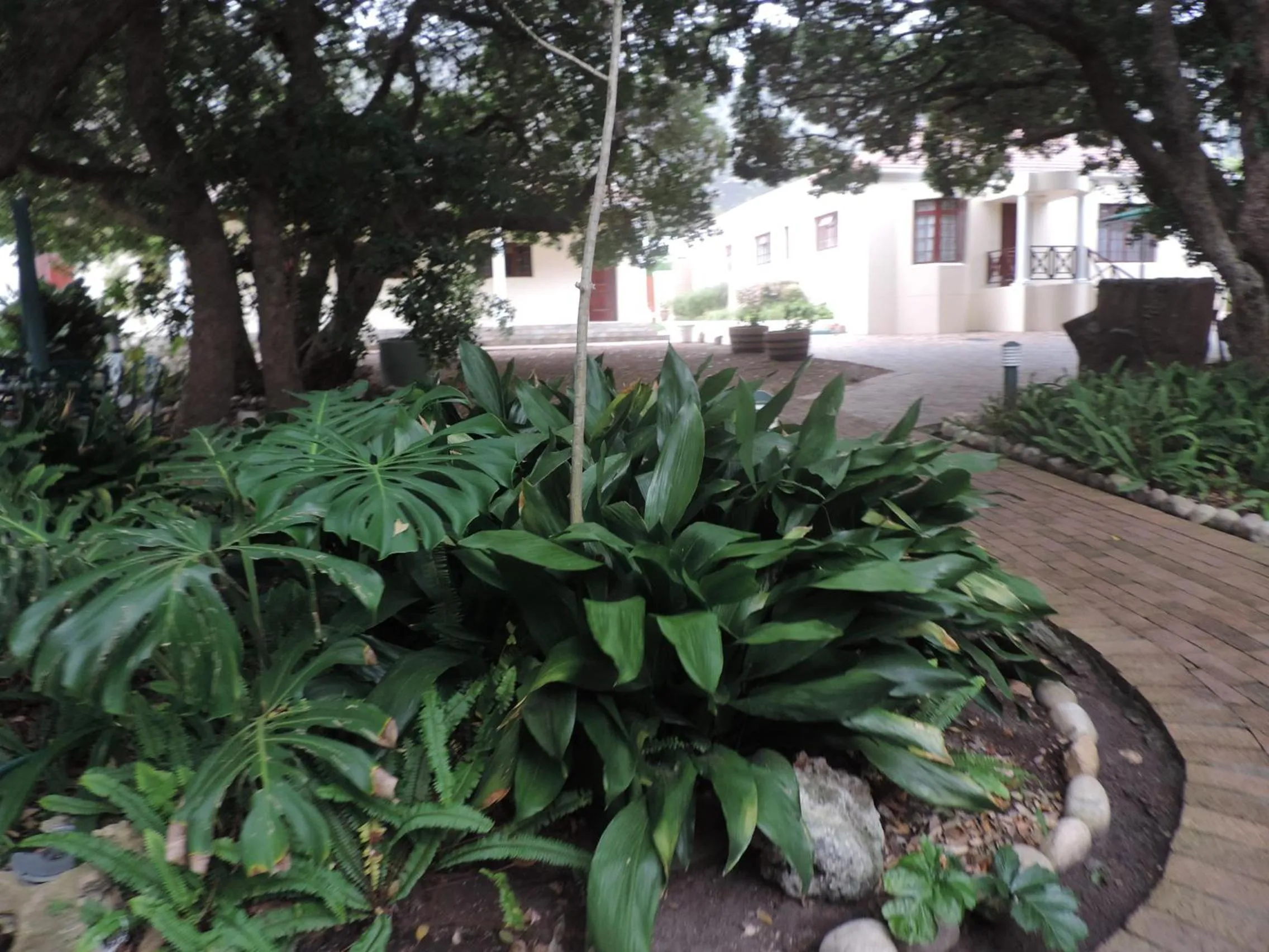 Garden in Milkwood Lodge
