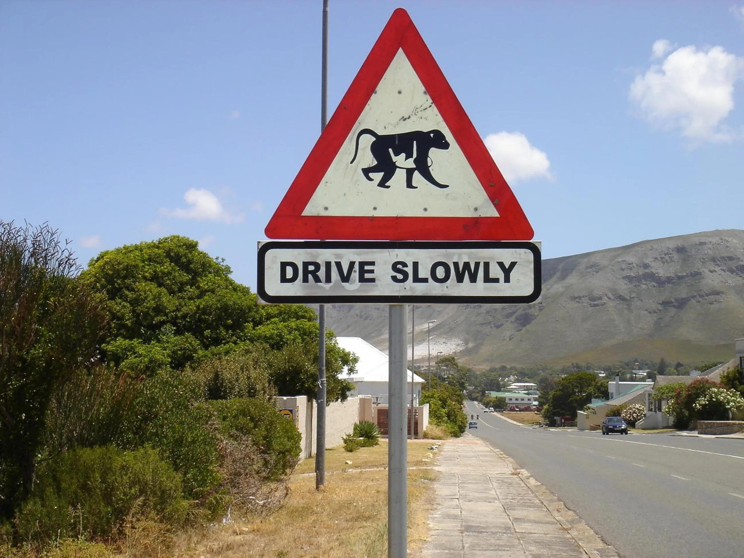 Animals in Milkwood Lodge