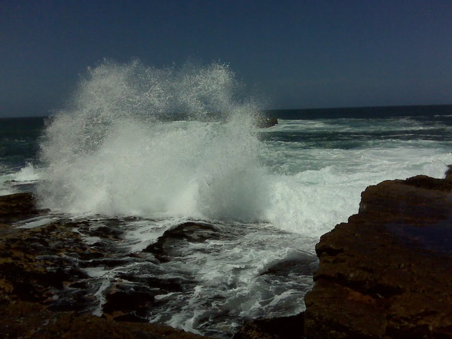 Neighbourhood in Milkwood Lodge
