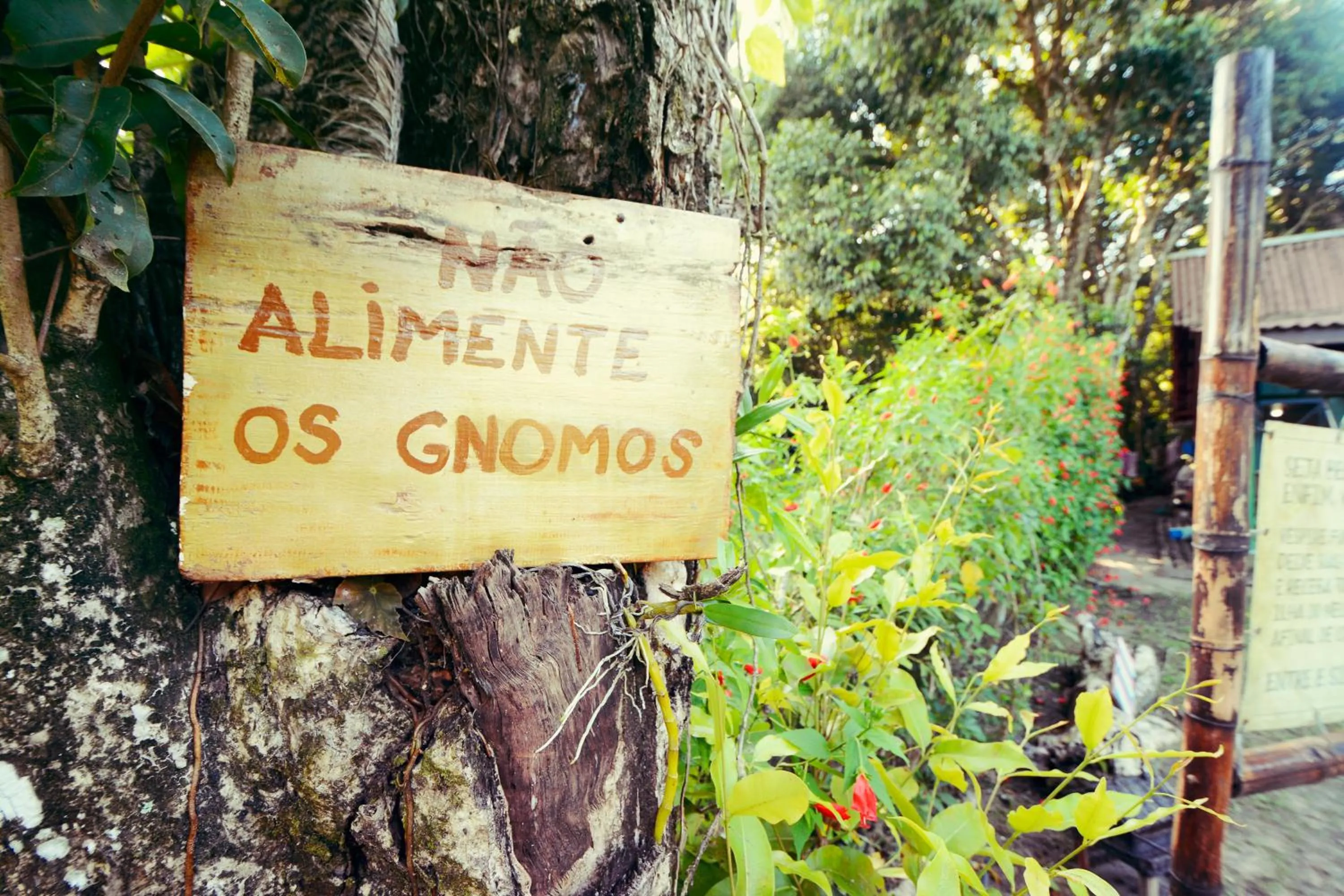 Garden view in Pousada Recanto das Cores