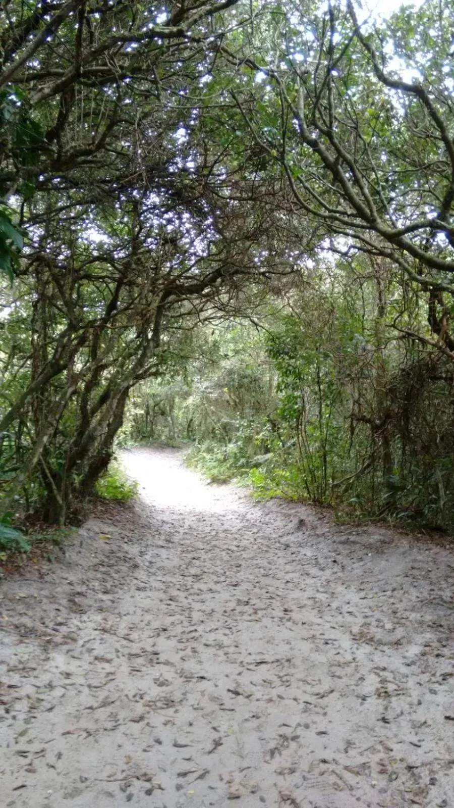 Hiking in Pousada Recanto das Cores