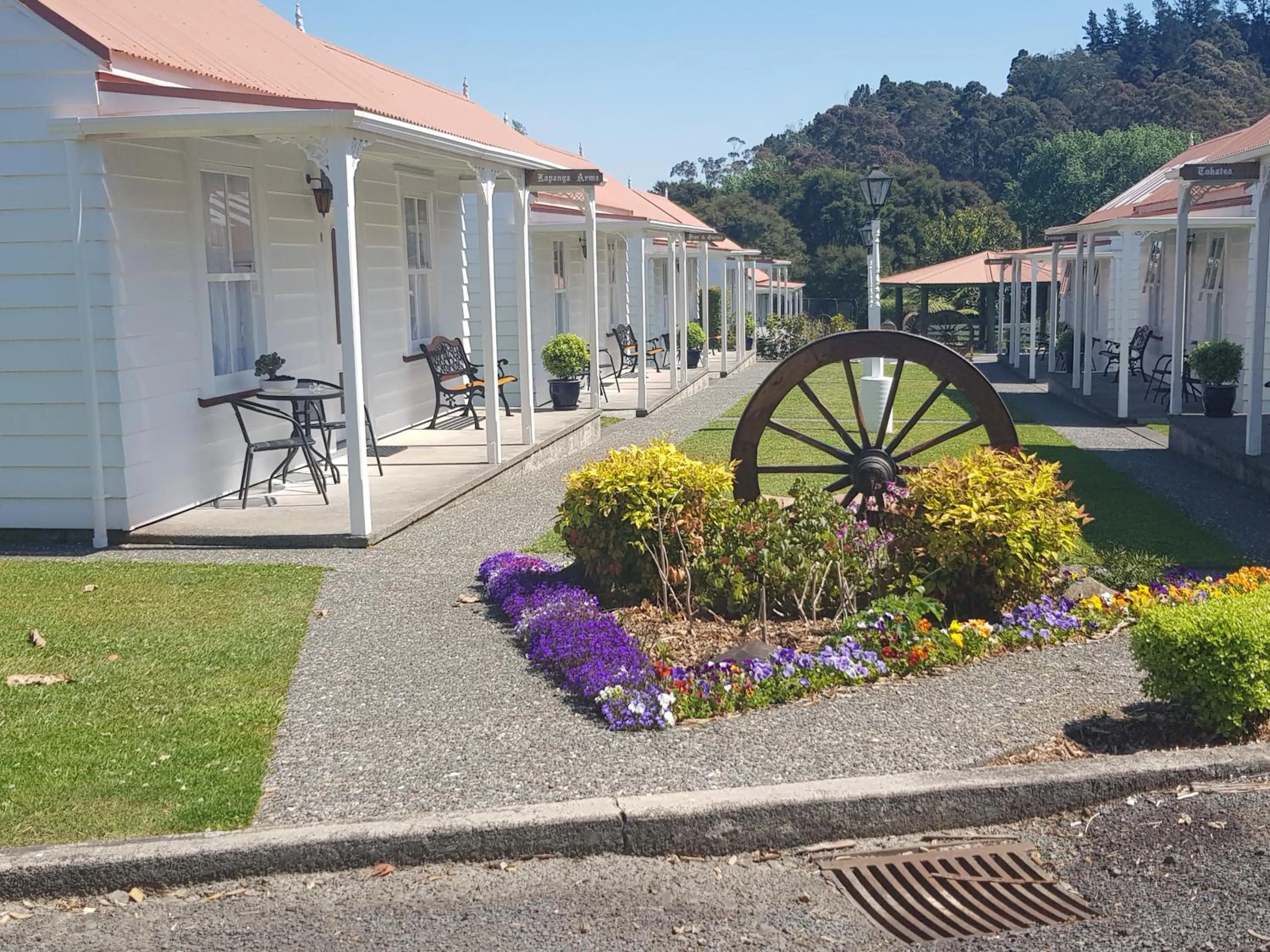 Natural landscape in Coromandel Cottages
