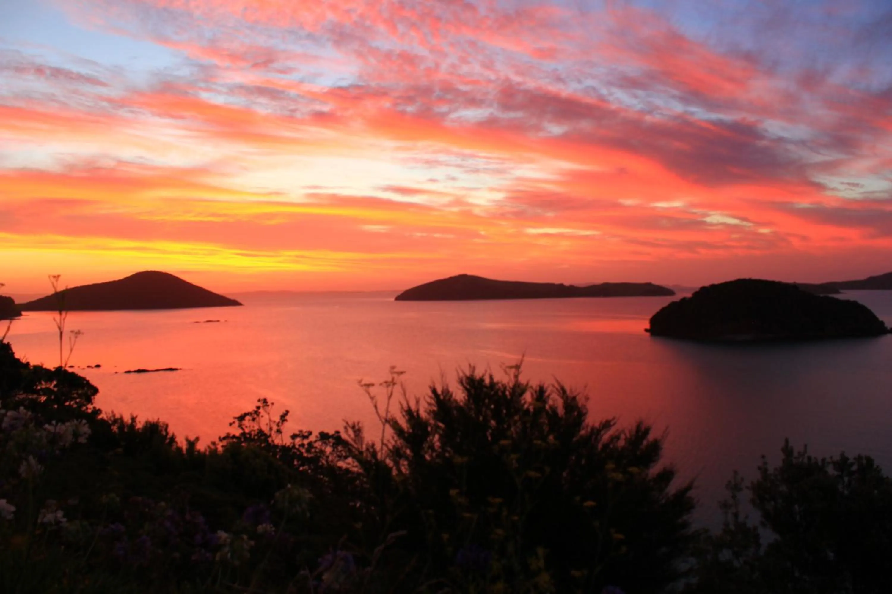 Natural landscape in Coromandel Cottages