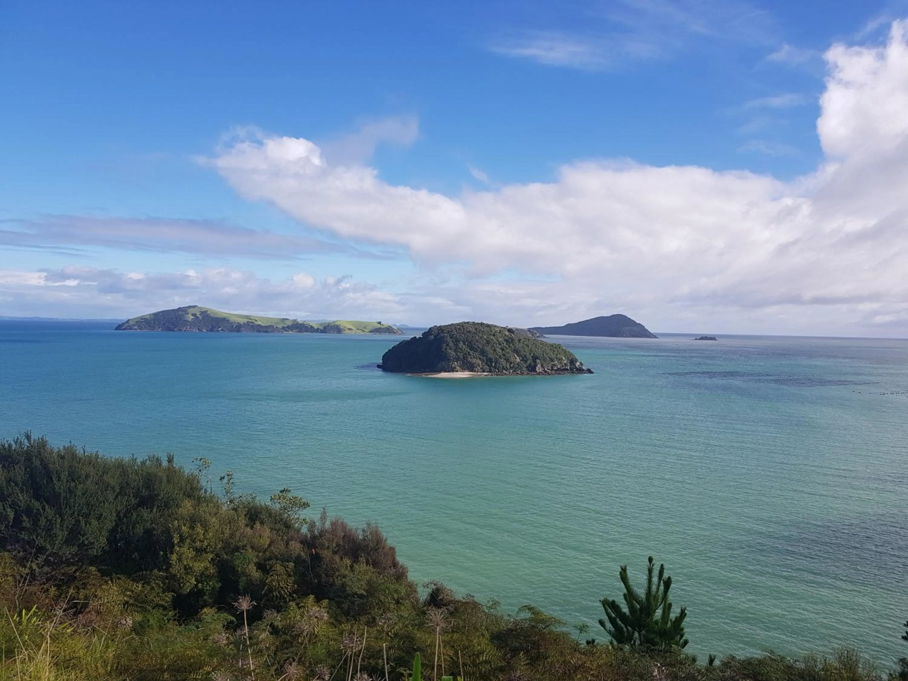 Beach in Coromandel Cottages