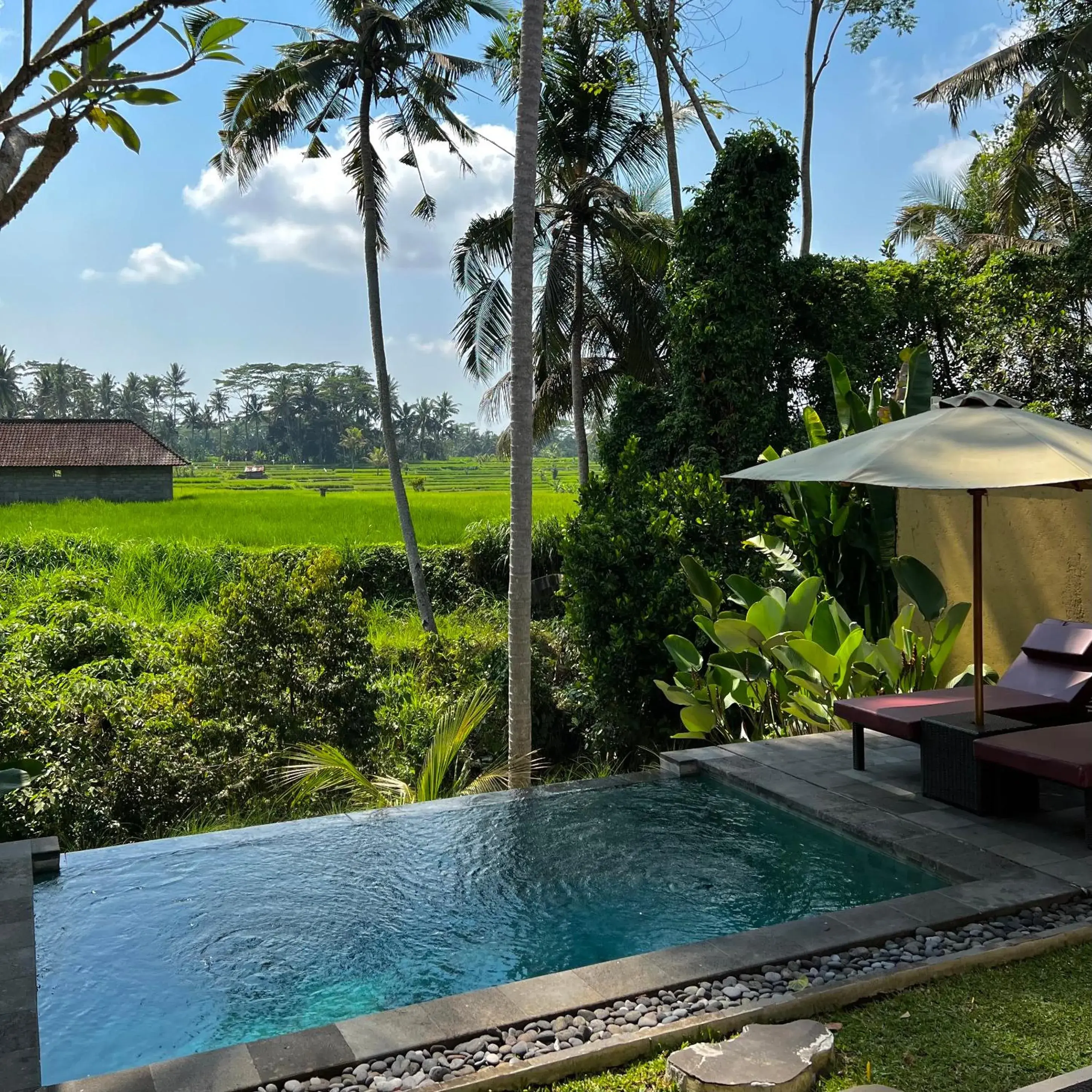 One-Bedroom Villa with Private Pool with Free Bicycle Use and Free Afternoon Tea in Kubu Bali Baik Villa & Resort - CHSE Certified One-Bedroom Villa with Private Pool with Free Bicycle Use and Free Afternoon Tea in Kubu Bali Baik Villa & Resort - CHSE Certified