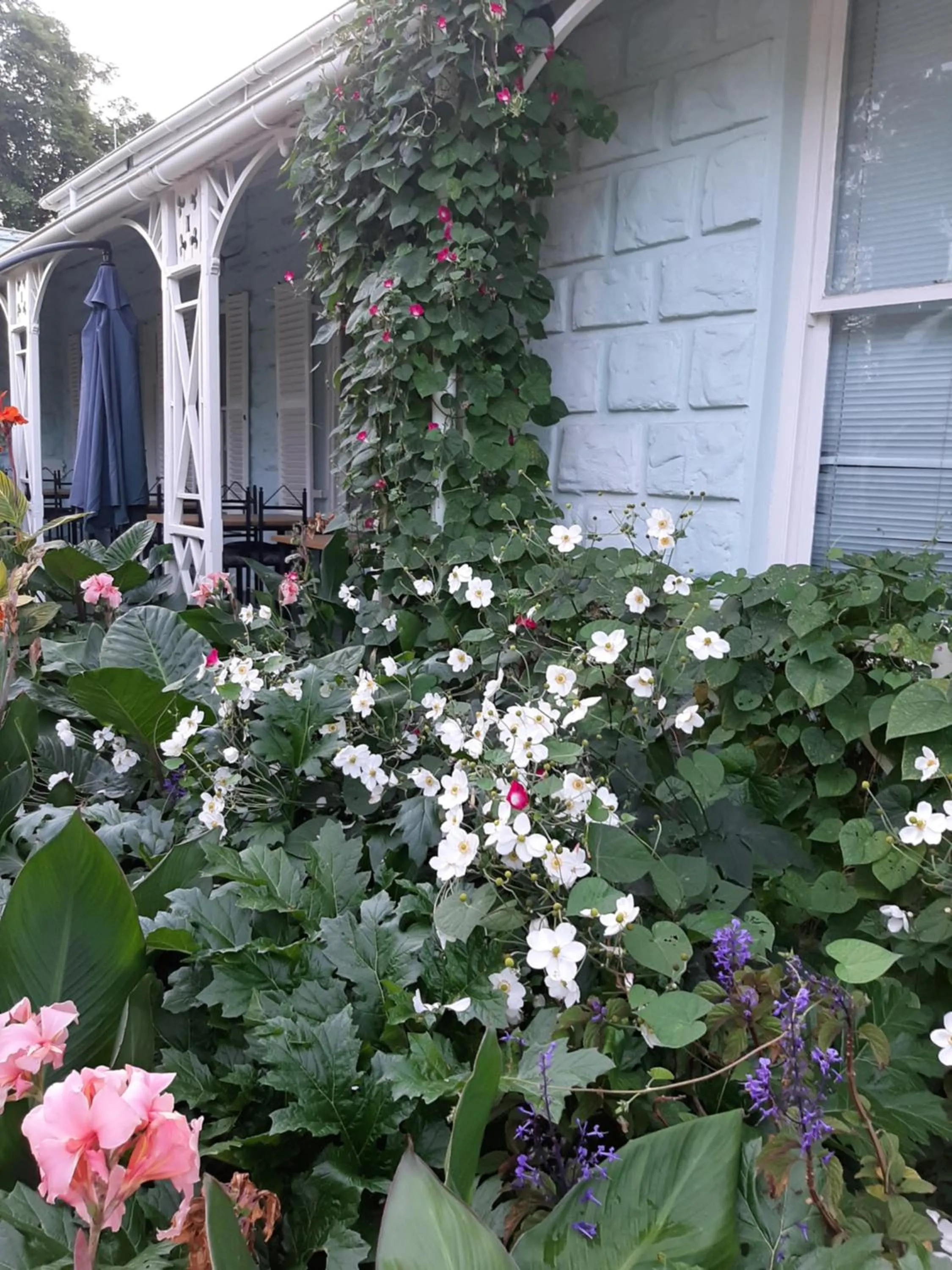Garden in Adley House