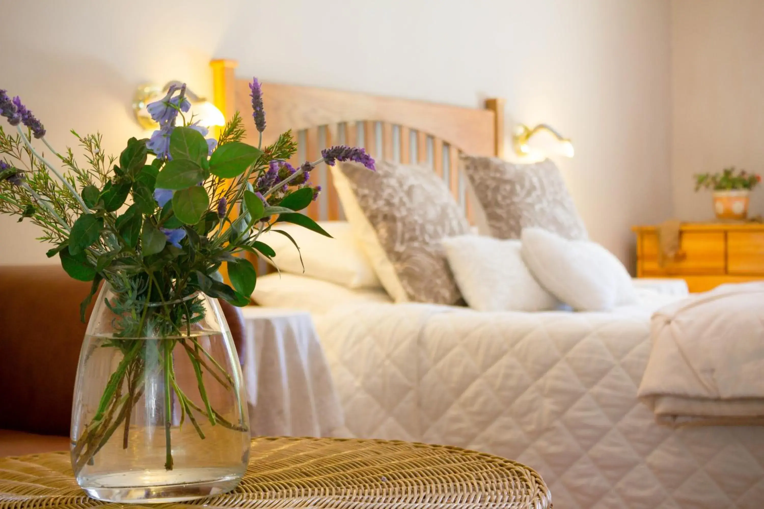 Luxury Double or Twin Room - single occupancy in Adley House Luxury Double or Twin Room - single occupancy in Adley House