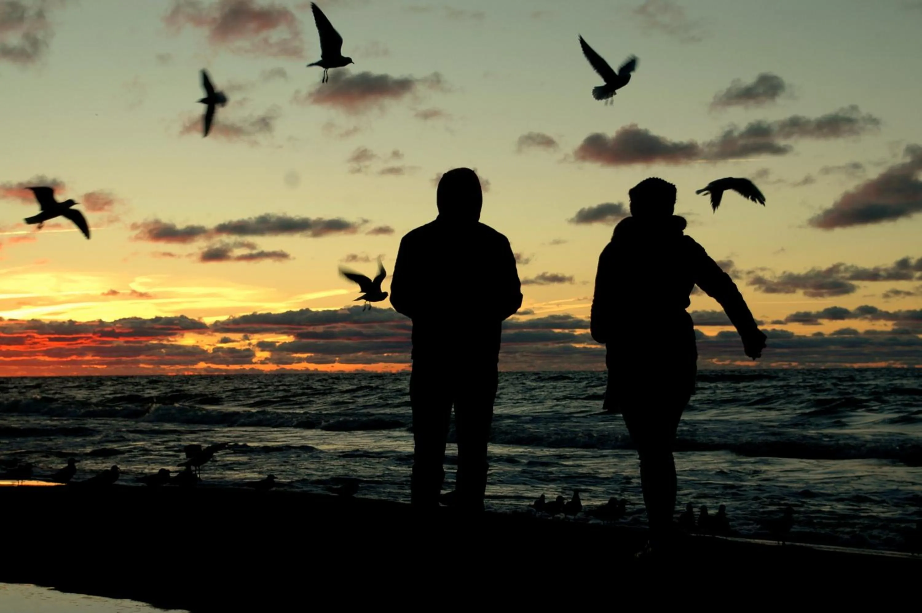 Natural landscape in Hotel Zorza