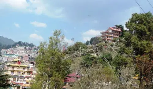 Shimla View Home Shimla View Home