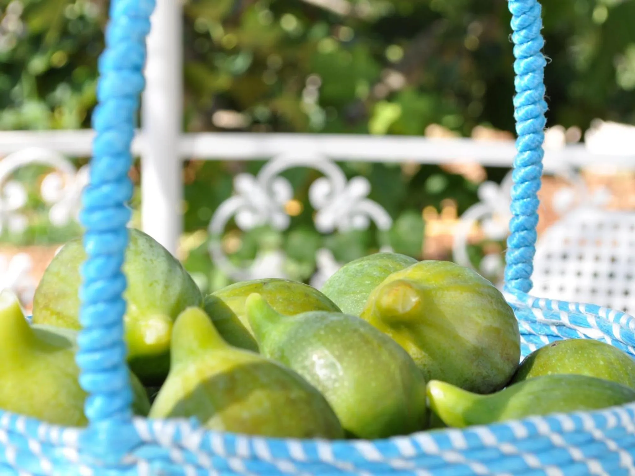 Garden in B&B Lamie Di Olimpia