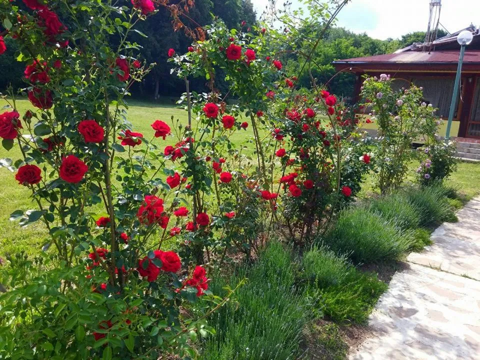Living room in Kovanlika Hotel