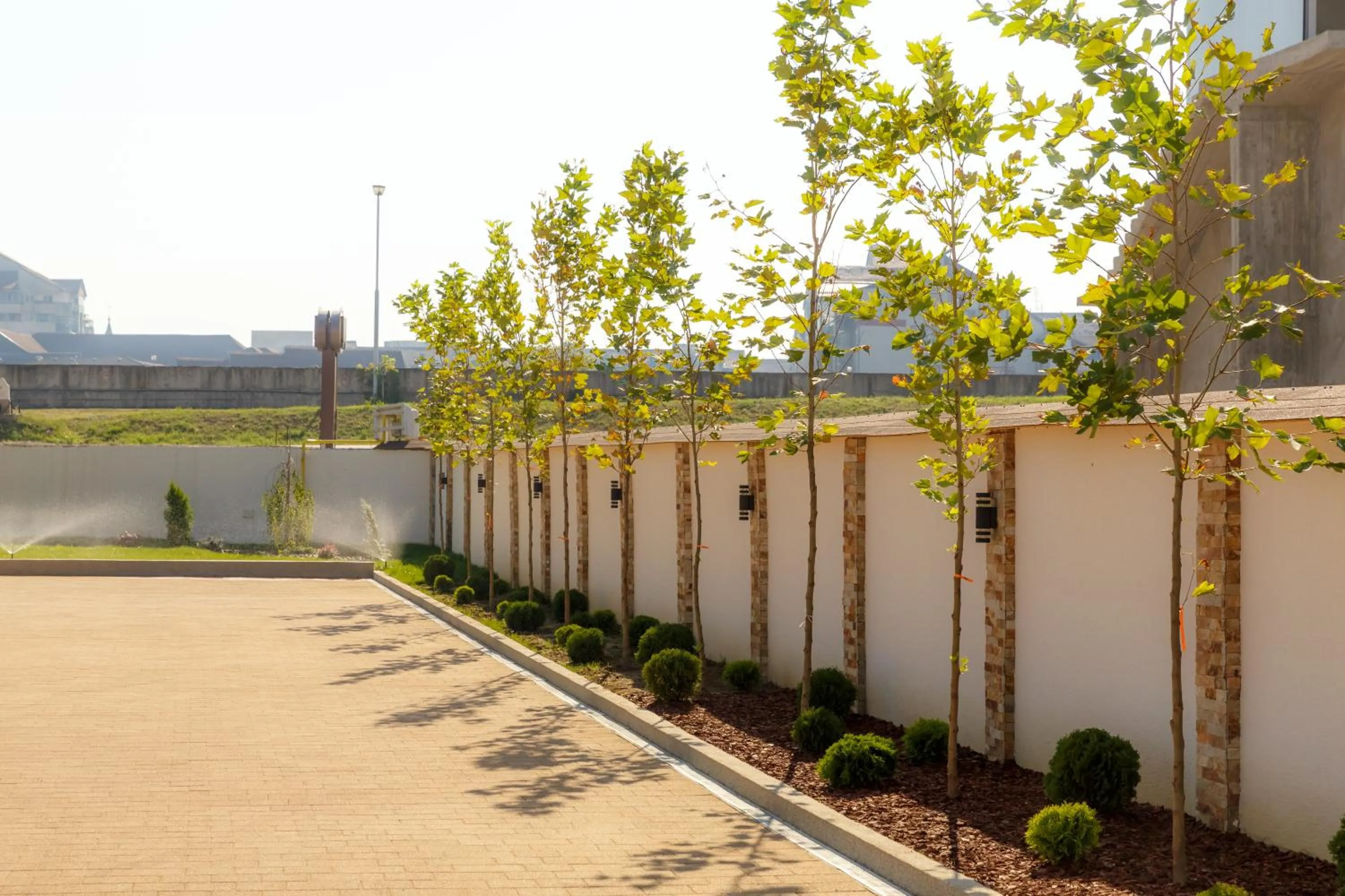 Day in YMY HOTELS Târgu Jiu