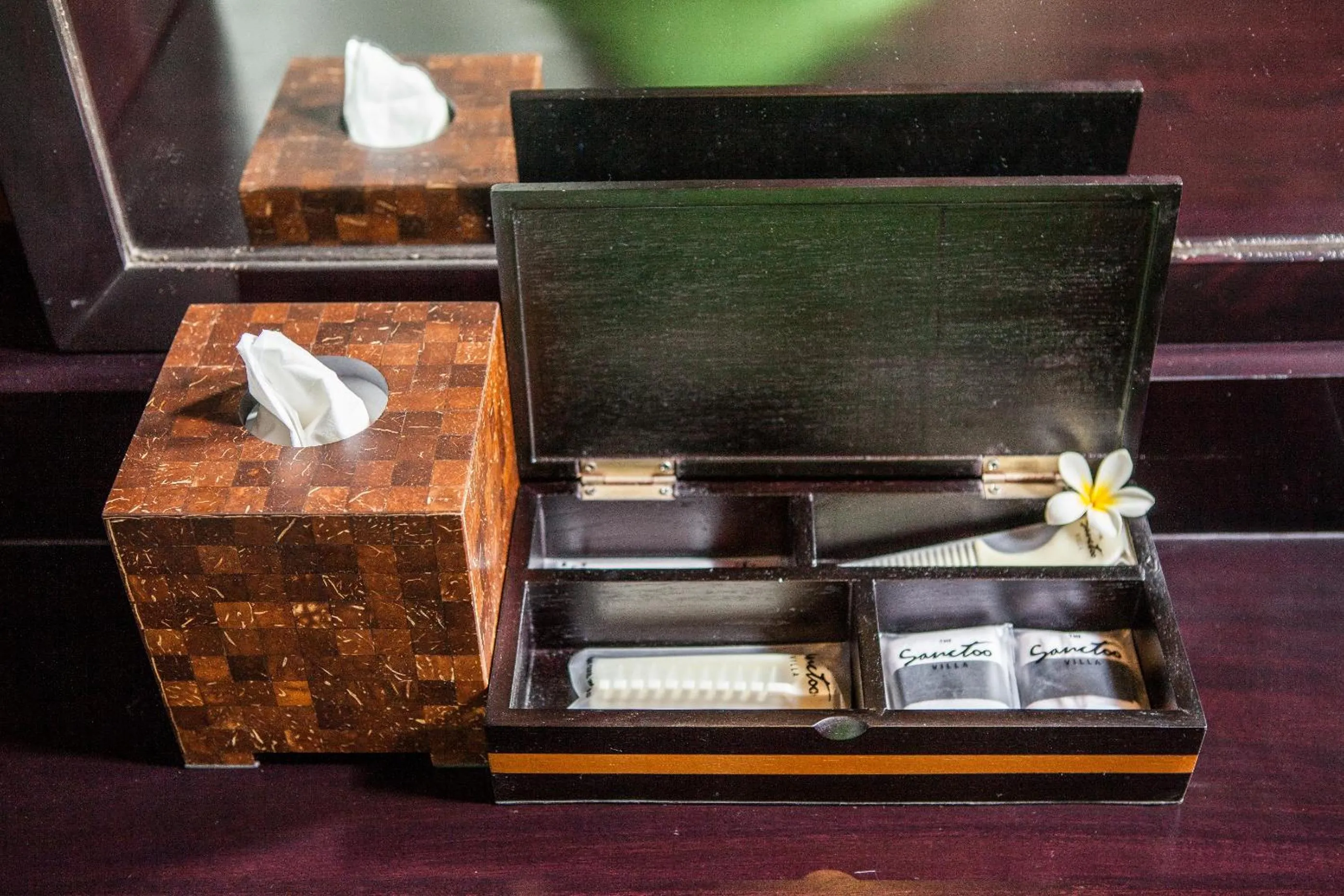 Area and facilities in Sanctoo Suites & Villas