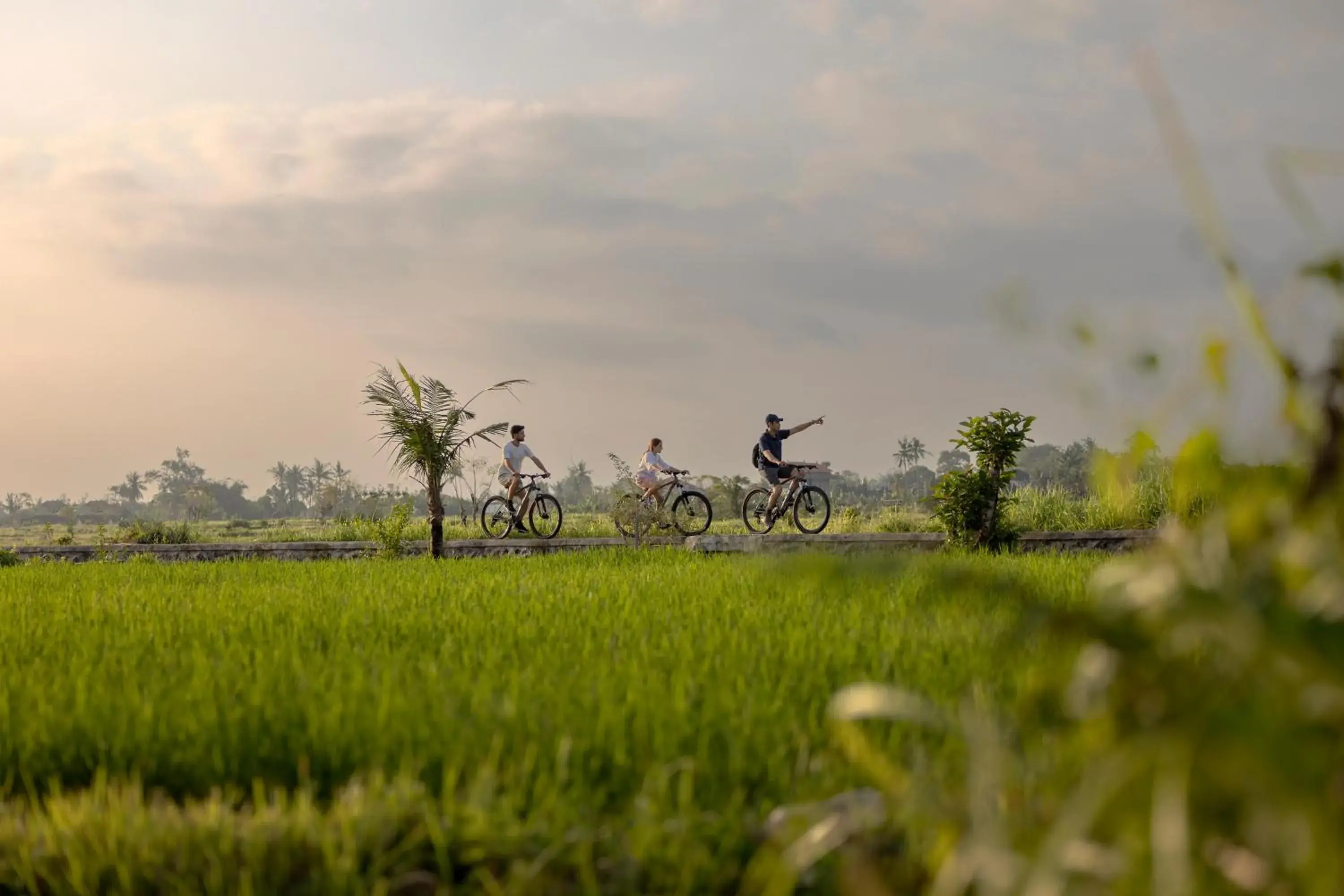 Area and facilities in Sanctoo Suites & Villas Area and facilities in Sanctoo Suites & Villas