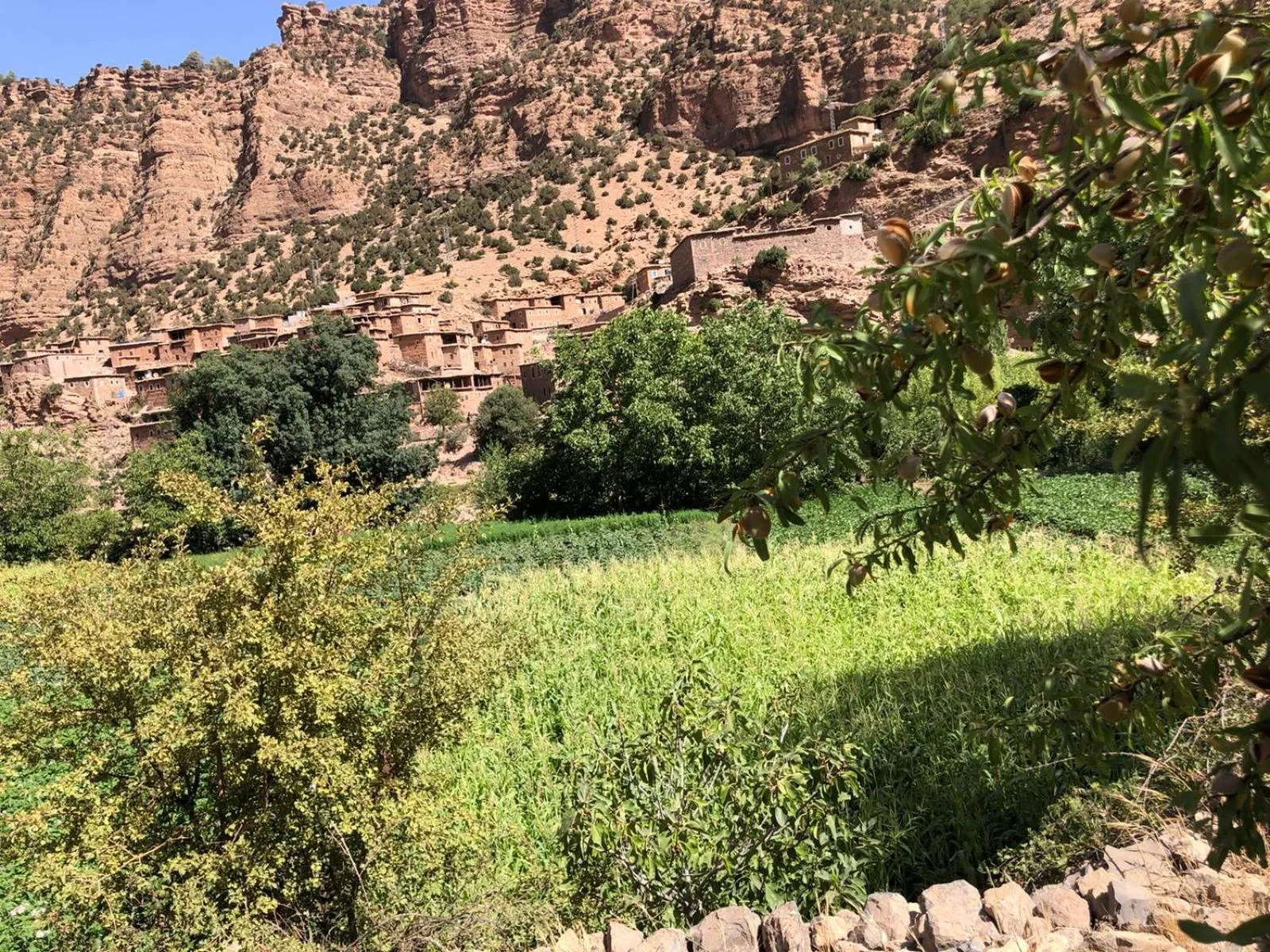 Bird's eye view in Gite Ifoulou Tassaout