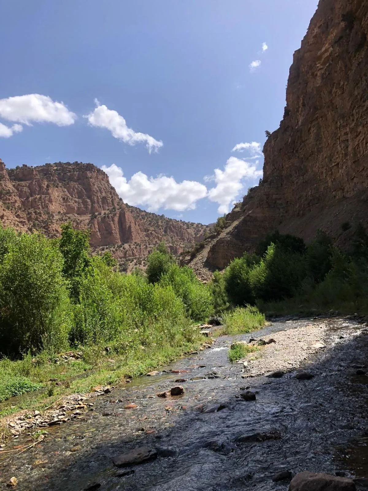 Diving in Gite Ifoulou Tassaout