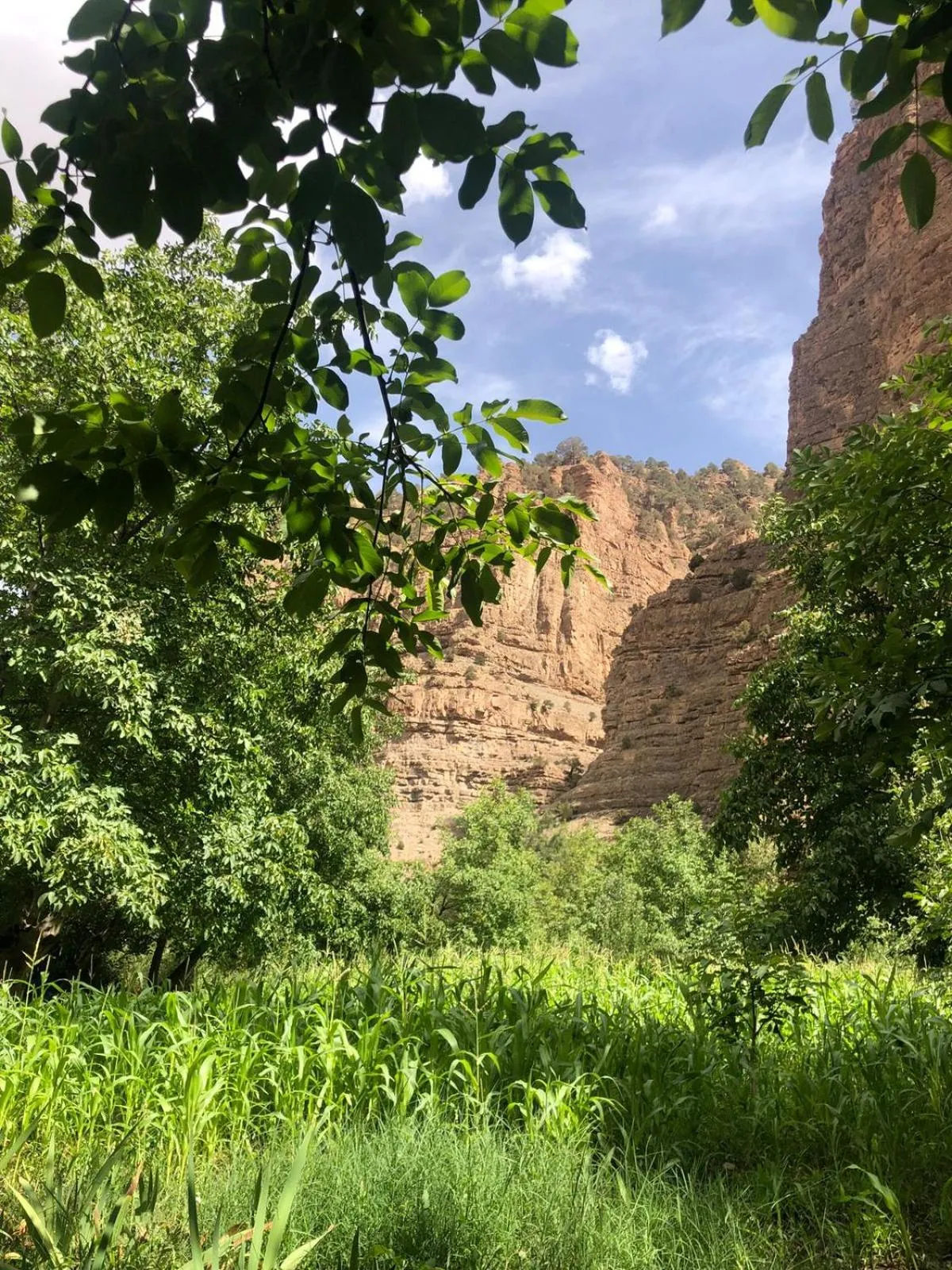 City view in Gite Ifoulou Tassaout