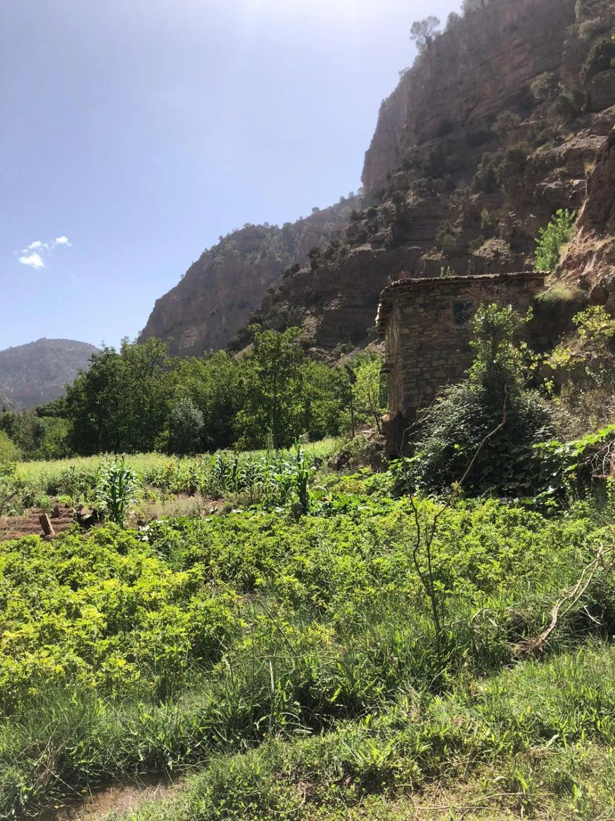 Bird's eye view in Gite Ifoulou Tassaout